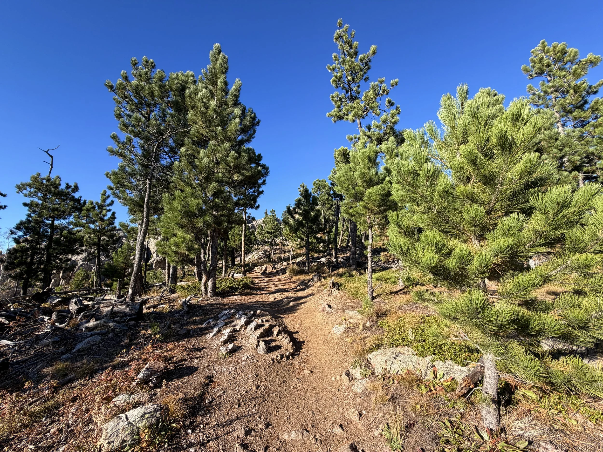 Little Devils Tower Trail Custer State Park Black Hills South Dakota