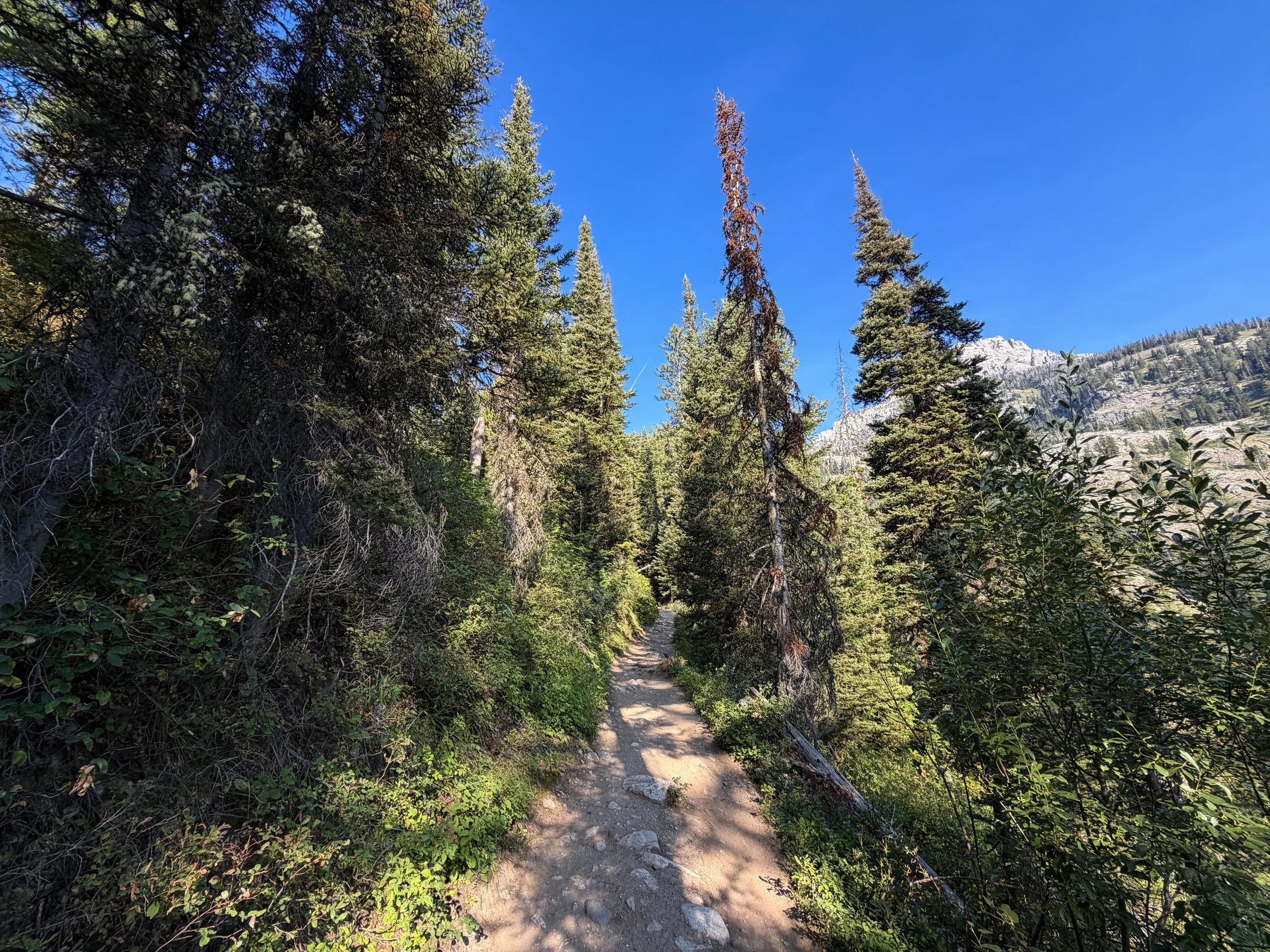 Delta Lake Trail Grand Teton National Park Wyoming
