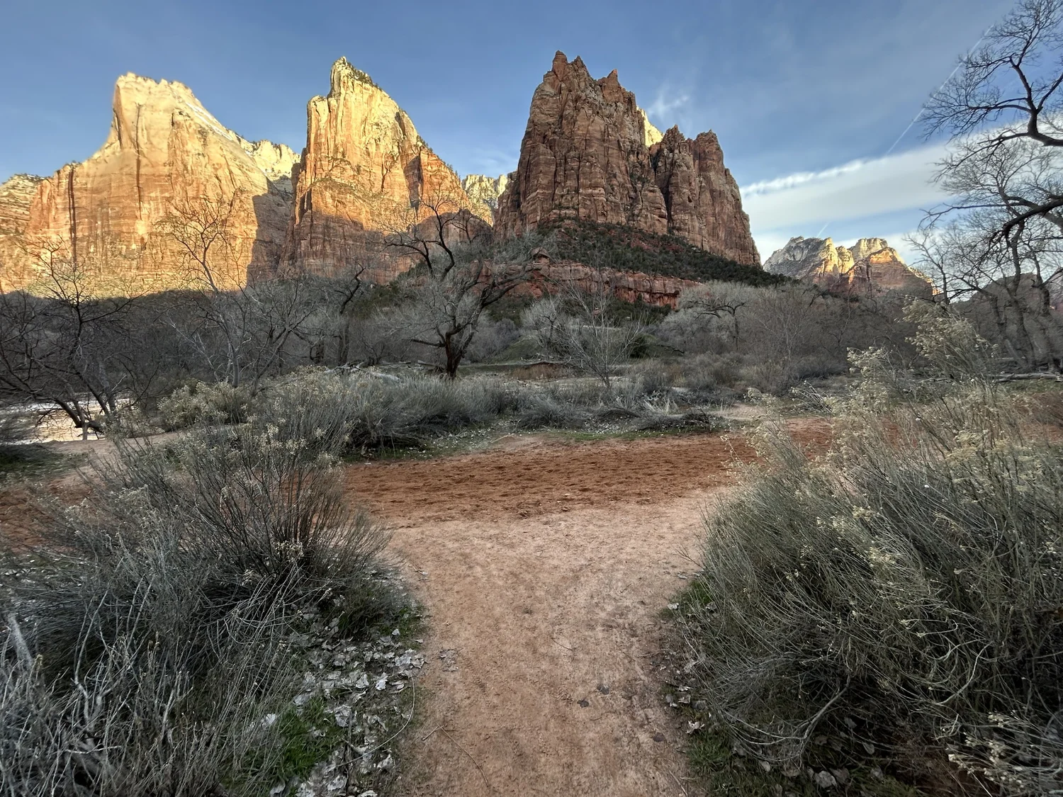 Hiking the Sand Bench Trail in Zion National Park — noahawaii