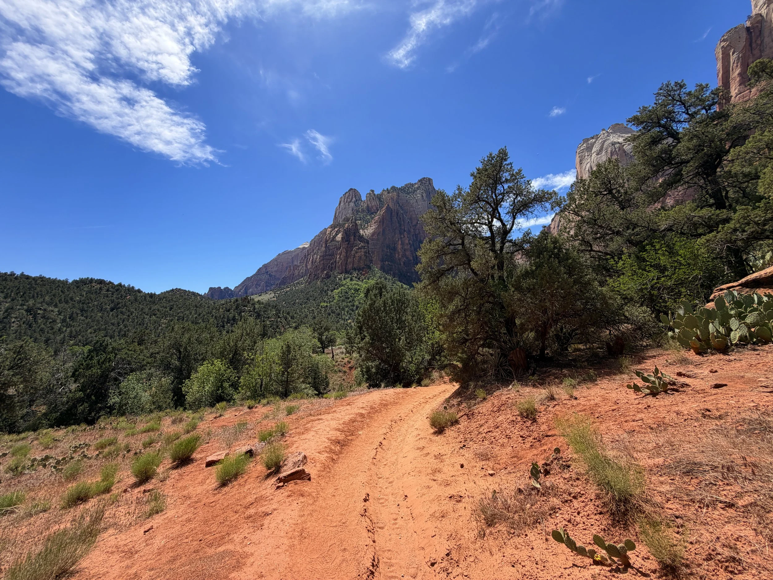 Sand Bench Trail Zion National Park Utah