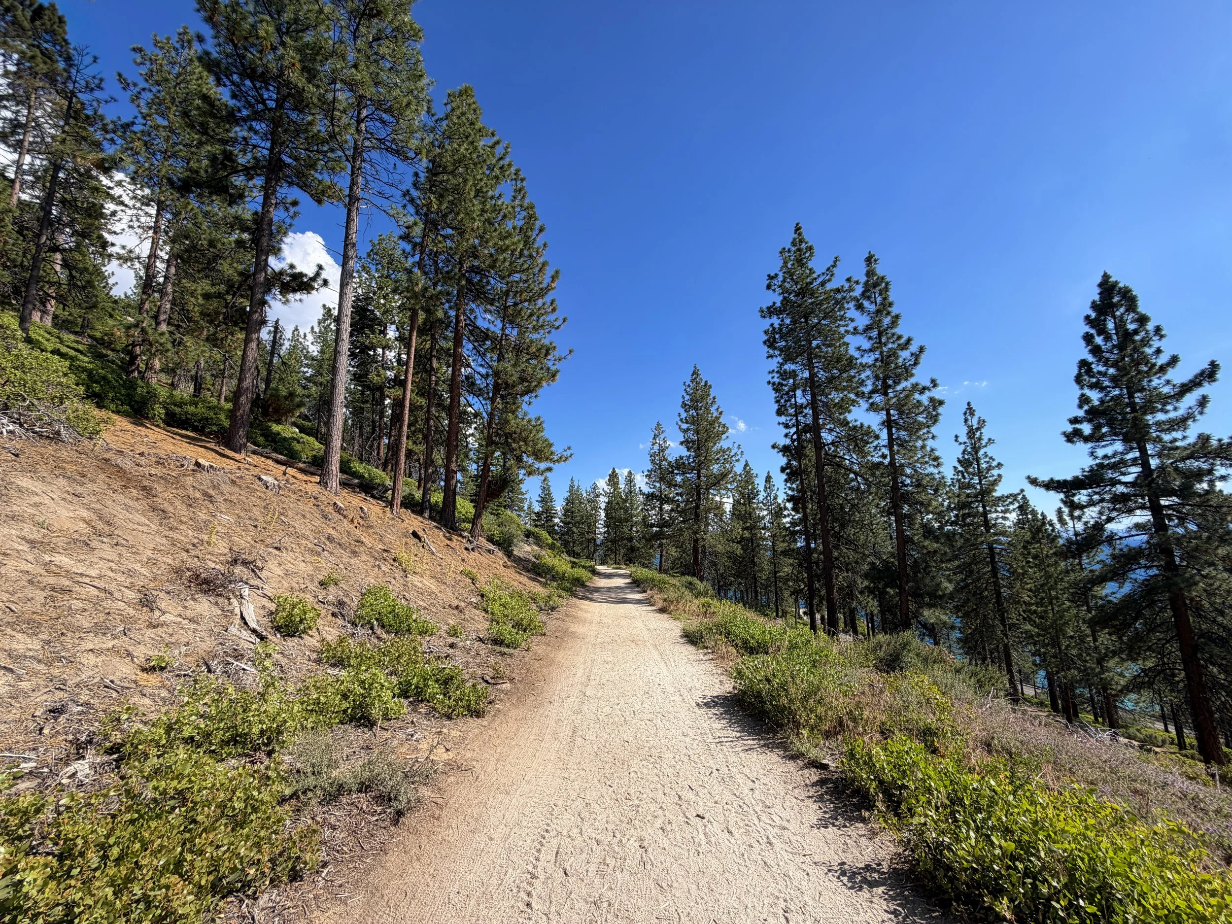 Monkey Rock Trail Lake Tahoe Nevada