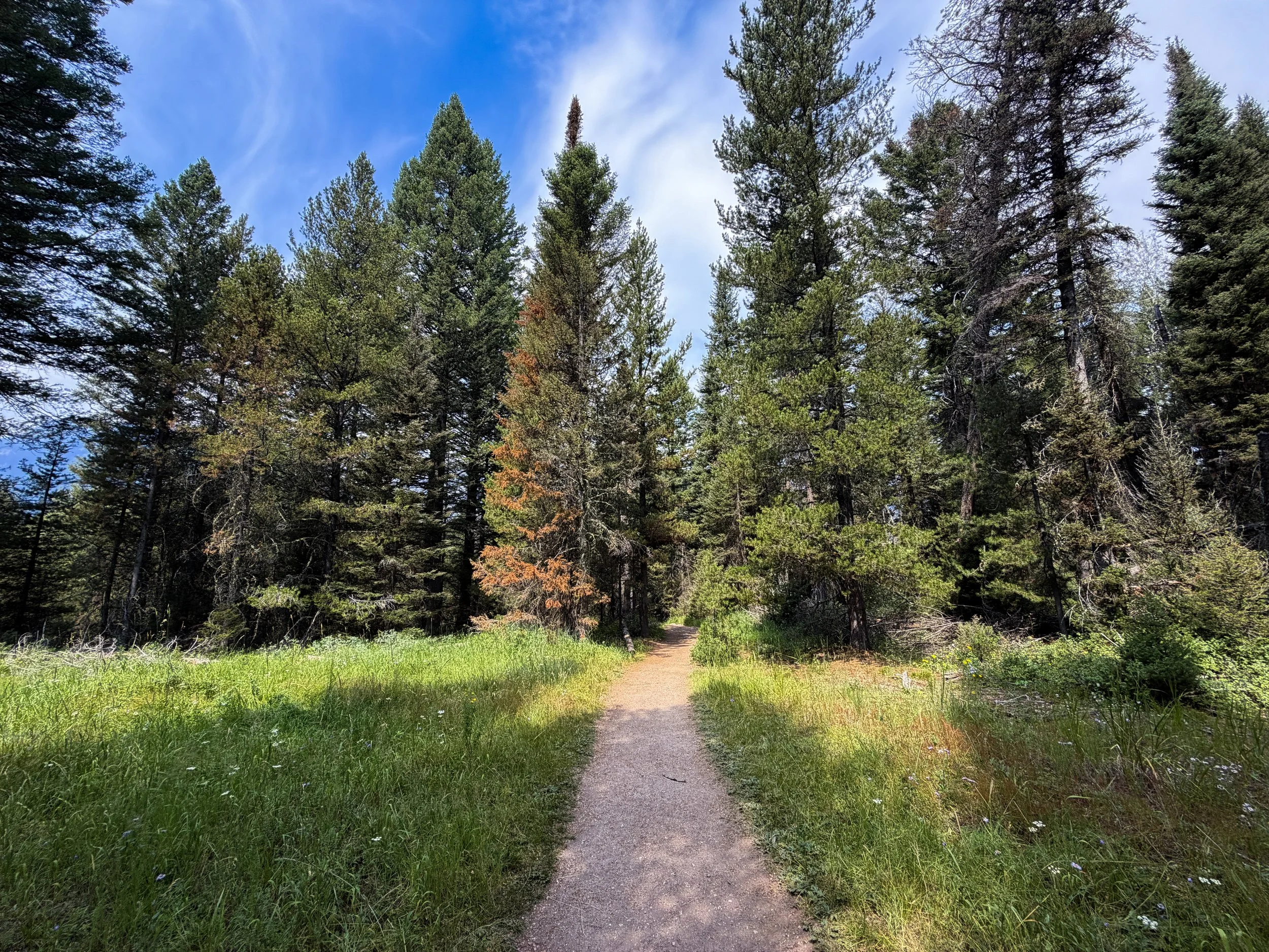 Phelps Lake Loop Hike Grand Teton National Park Wyoming