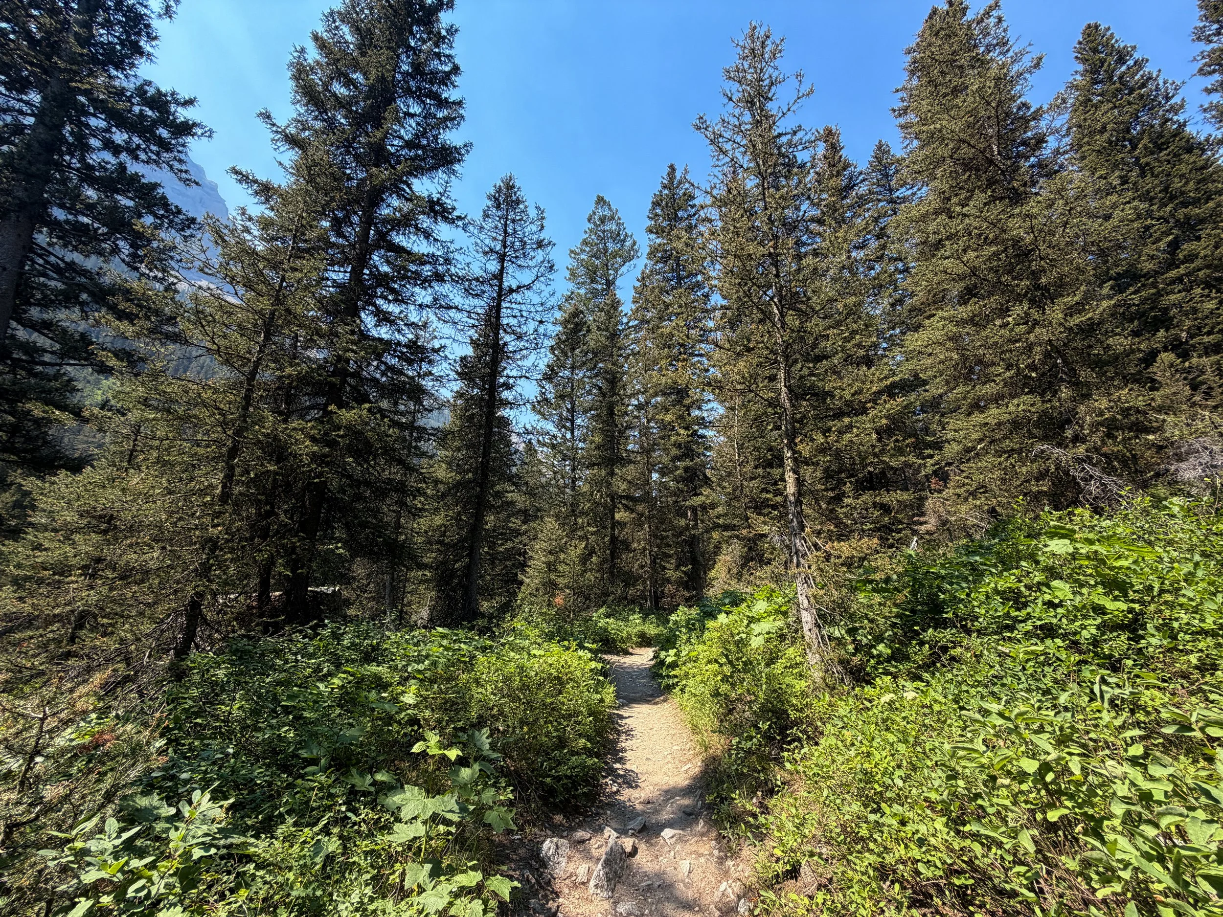 Cascade Canyon Trail to Teton Crest Trail Grand Teton National Park Wyoming