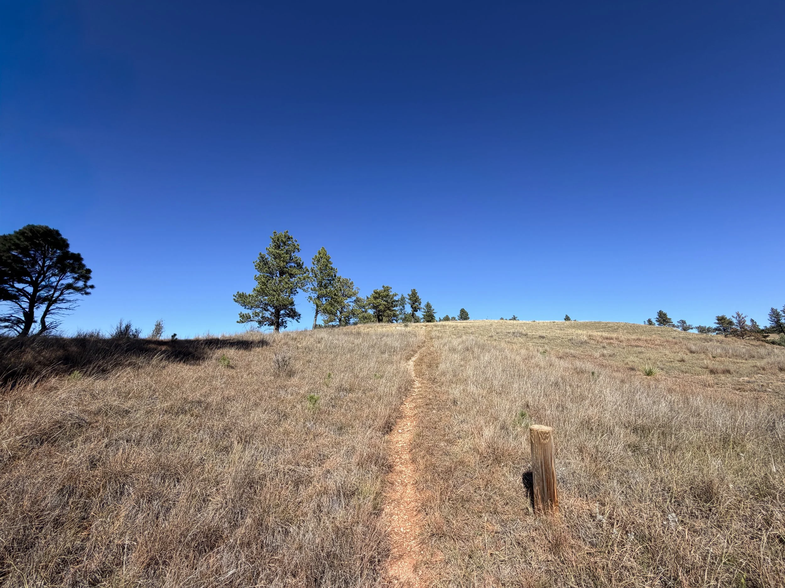 East Bison Flats Trail Wind Cave National Park South Dakota