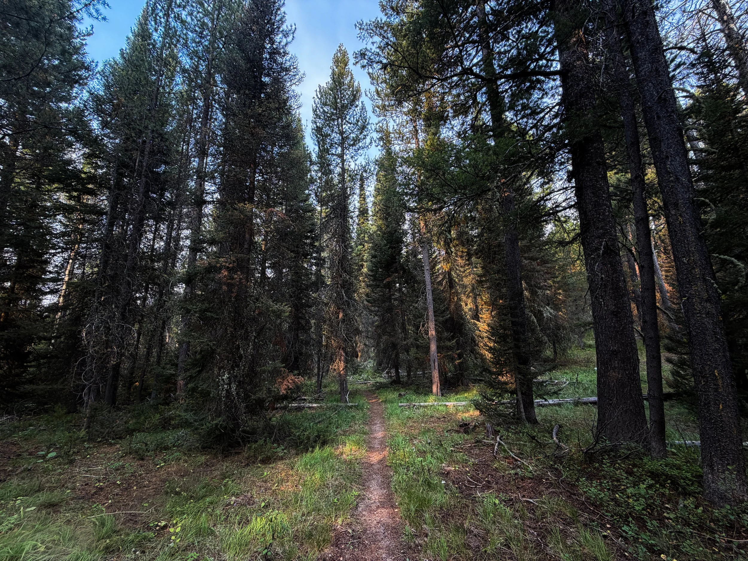 Boulder Aspen Ridge Loop Trail Grand Teton National Park Wyoming