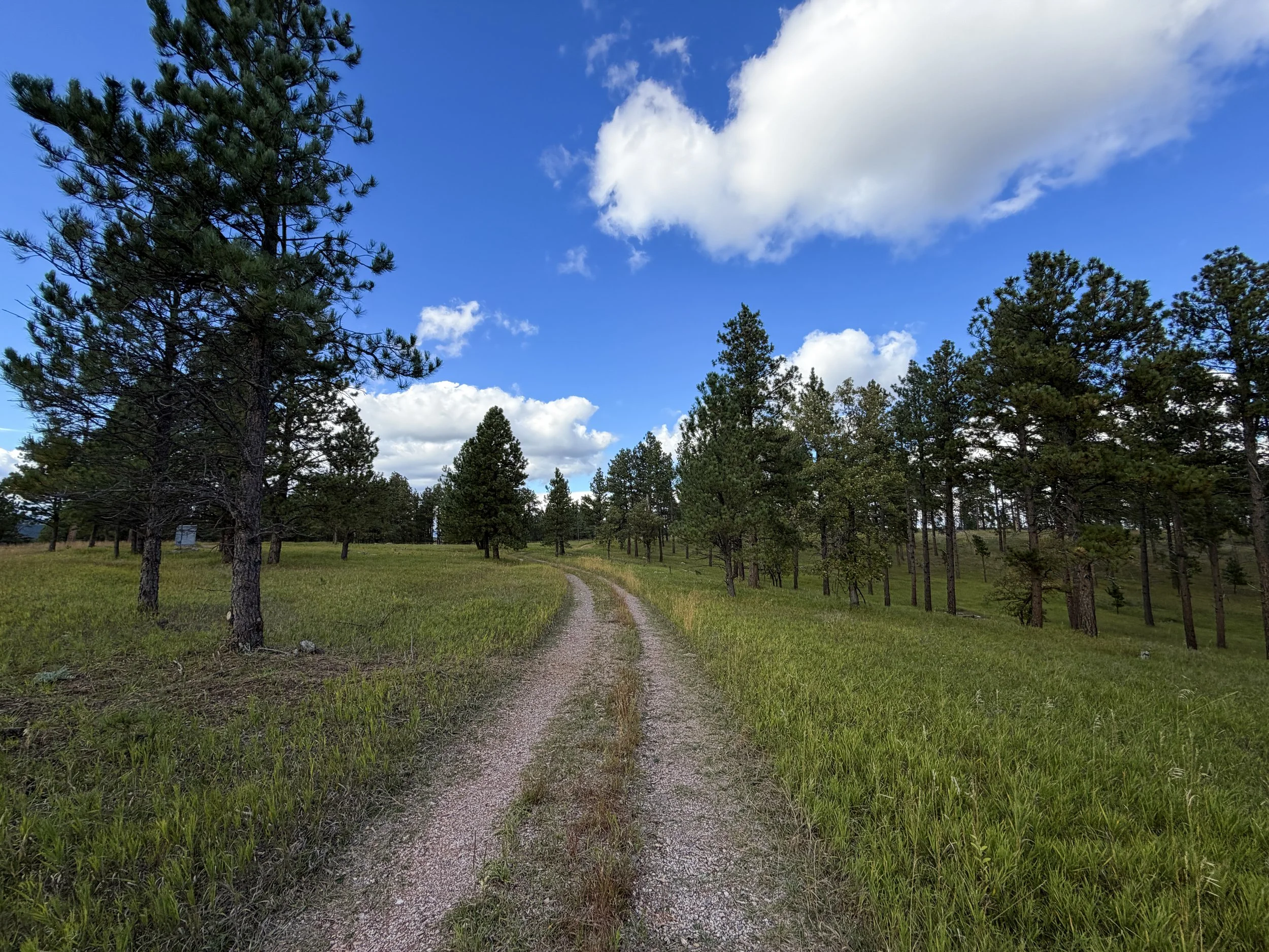 Stratosphere Bowl Trail Black Hills South Dakota