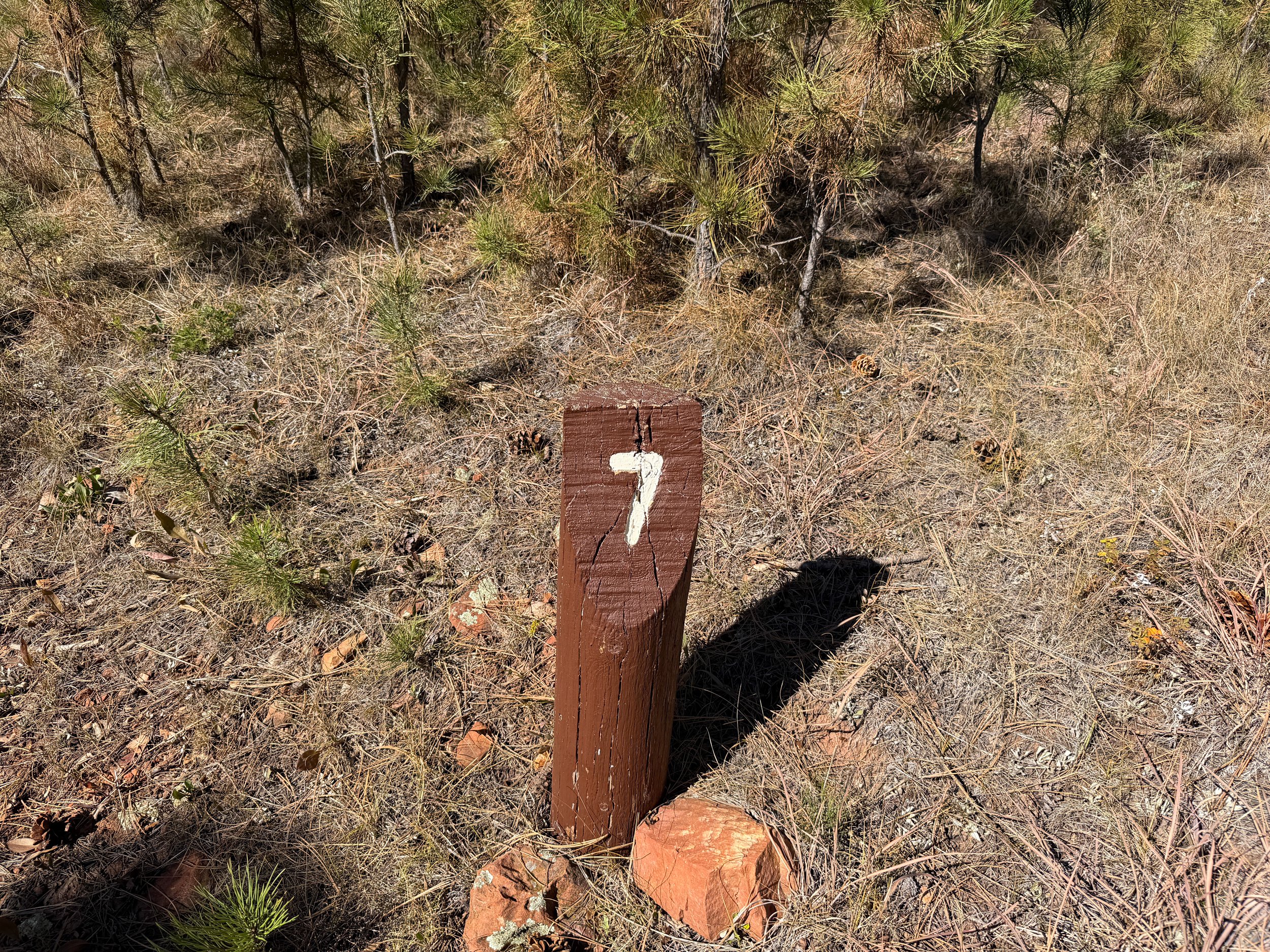 Elk Mountain Campground Loop Trail Wind Cave National Park South Dakota