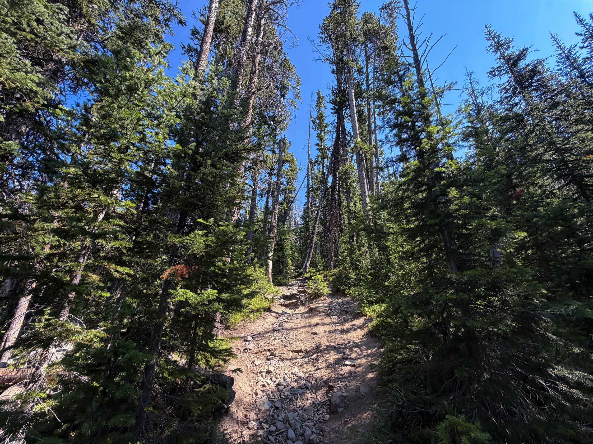 Avalanche Peak Trail Yellowstone National Park Wyoming