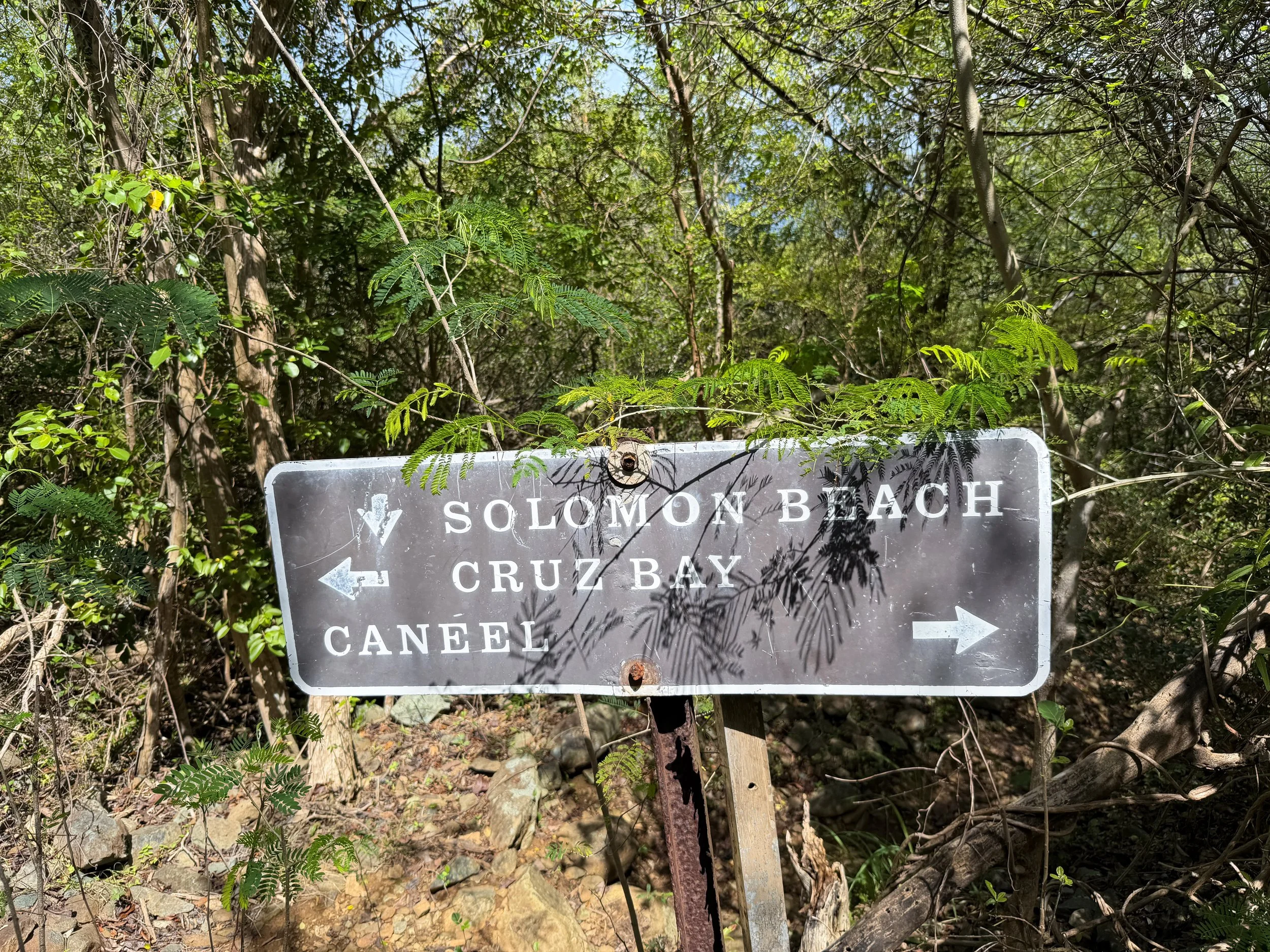 Upper Lind Point Hike Virgin Islands National Park