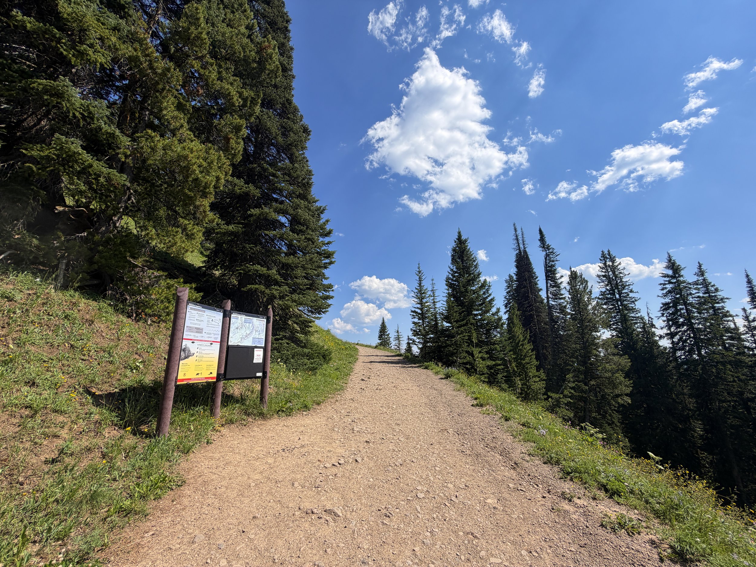 Mt. Washburn Trailhead via Dunraven Pass Yellowstone National Park Wyoming