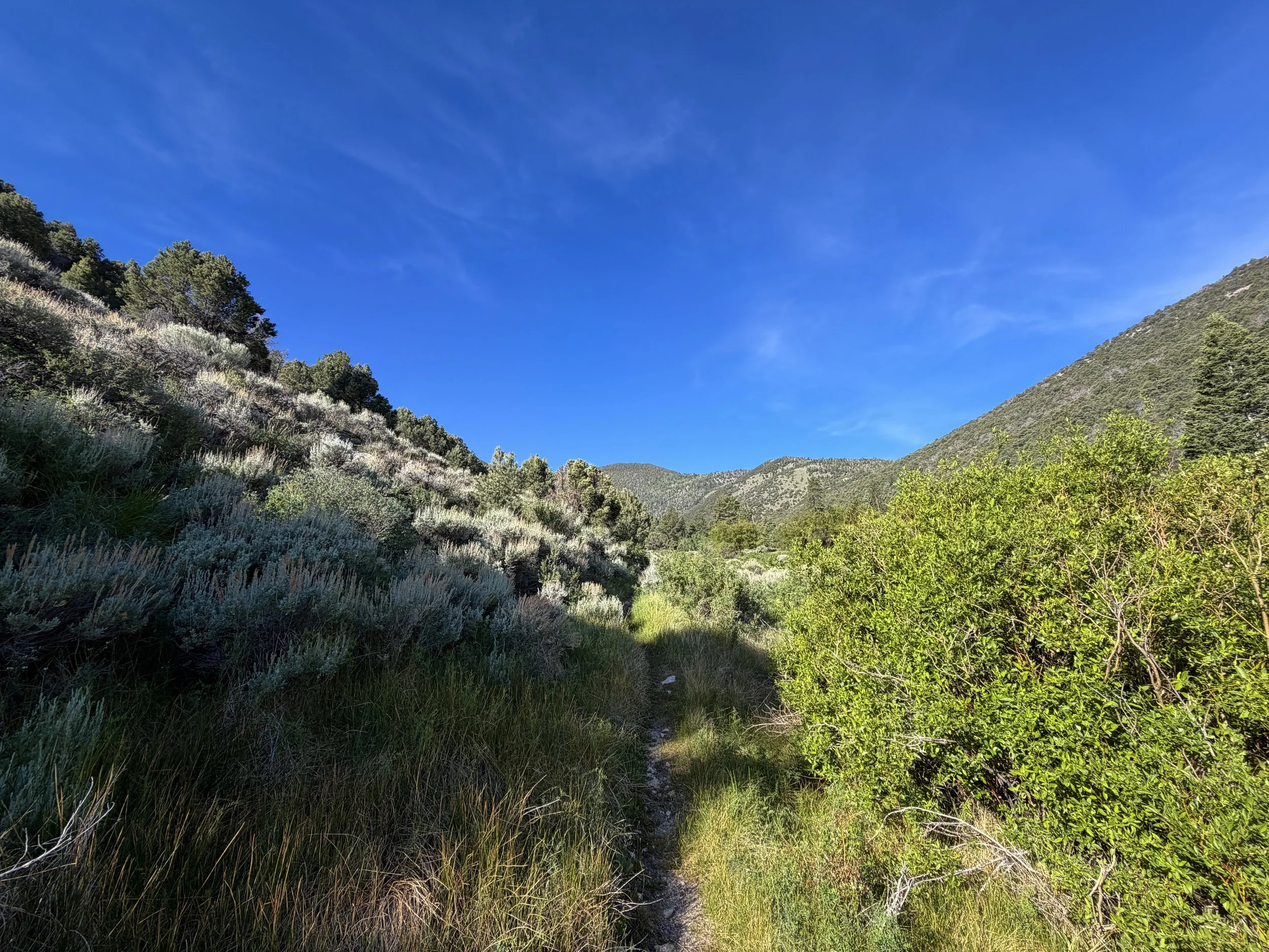 Pole Canyon Loop Trail Great Basin National Park Nevada