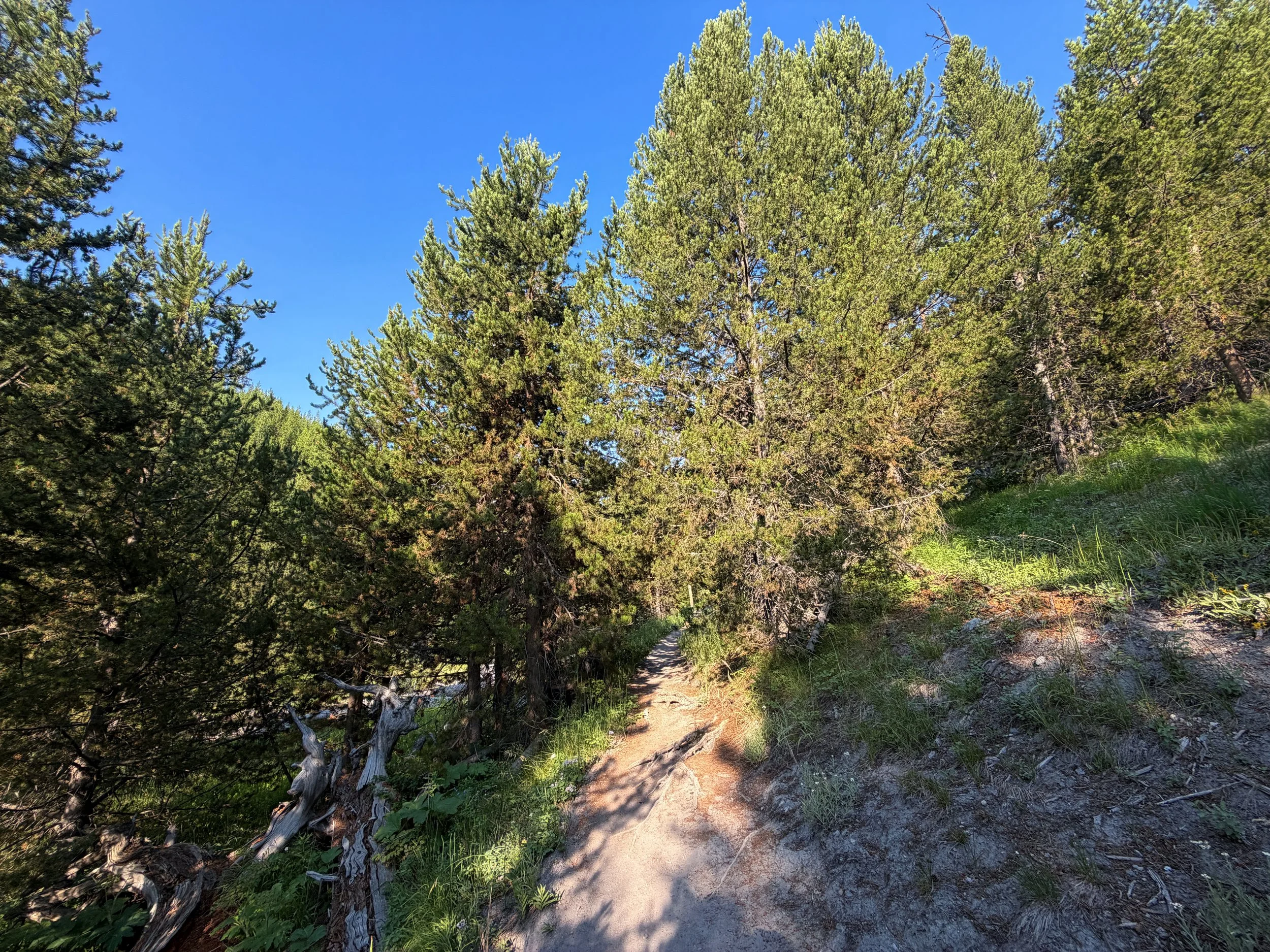 Mystic Falls Loop Trail Yellowstone National Park Wyoming