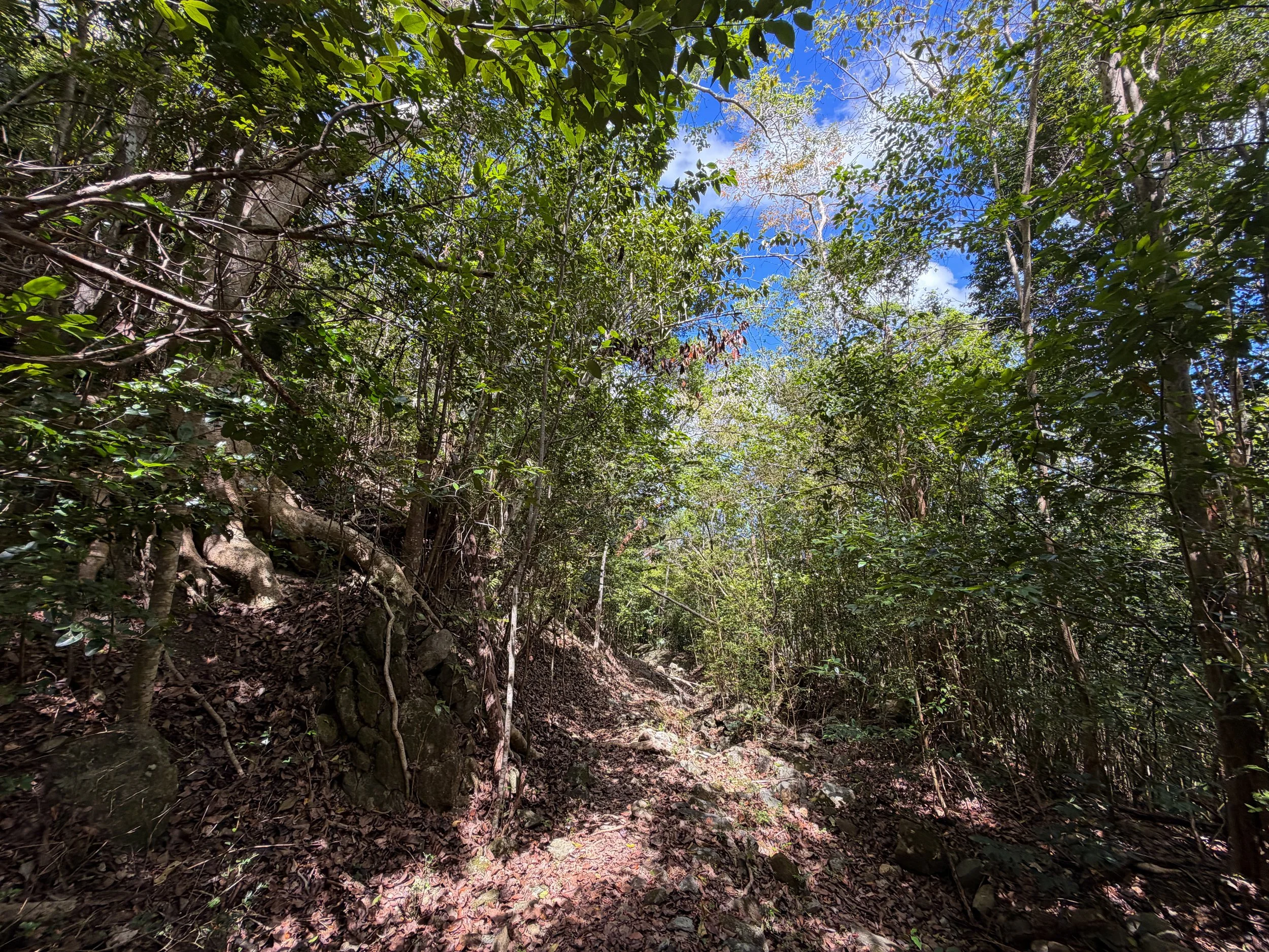 Water Catchment Hike Virgin Islands National Park