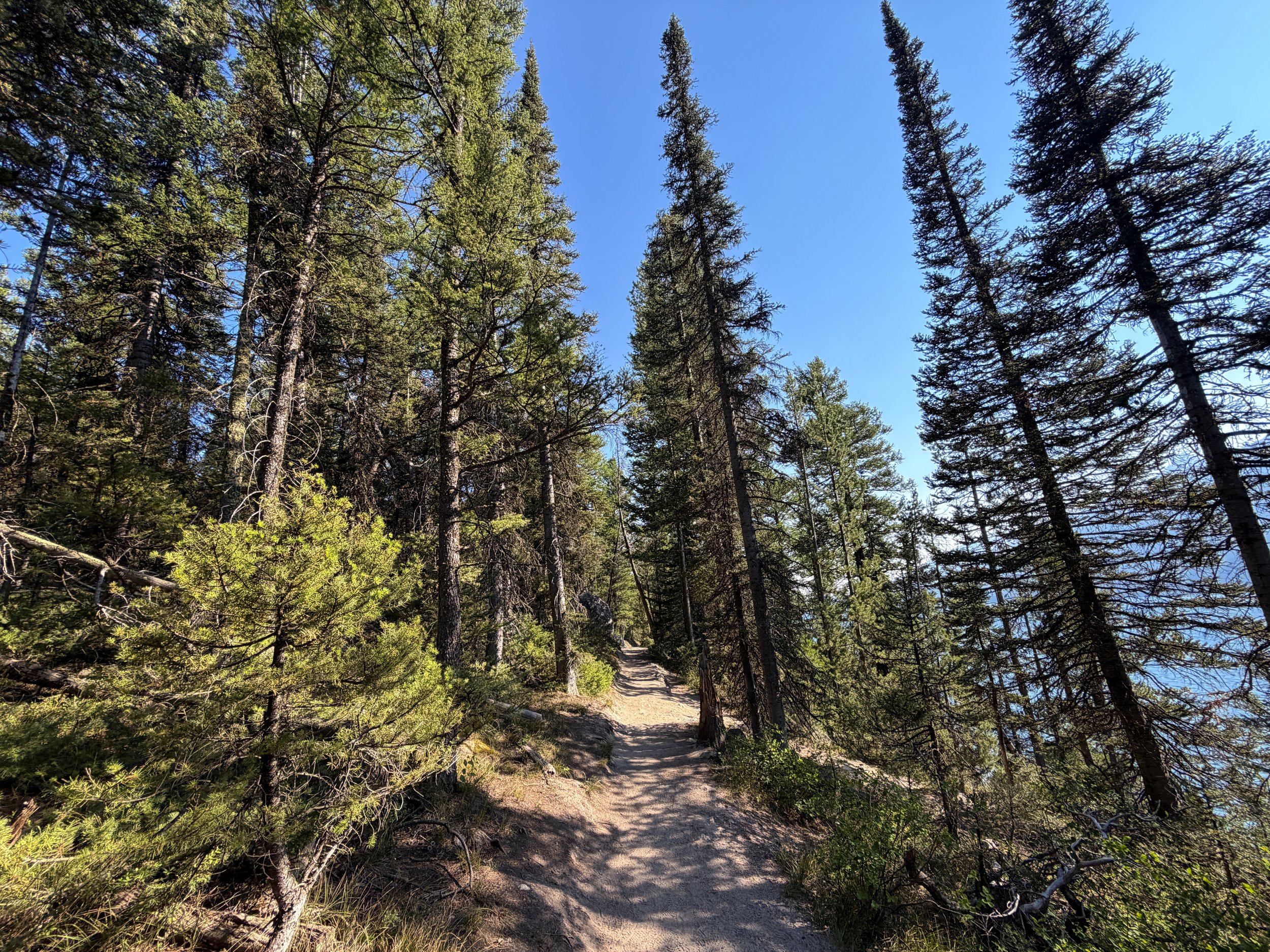 Jenny Lake Loop Trail Grand Teton National Park Wyoming