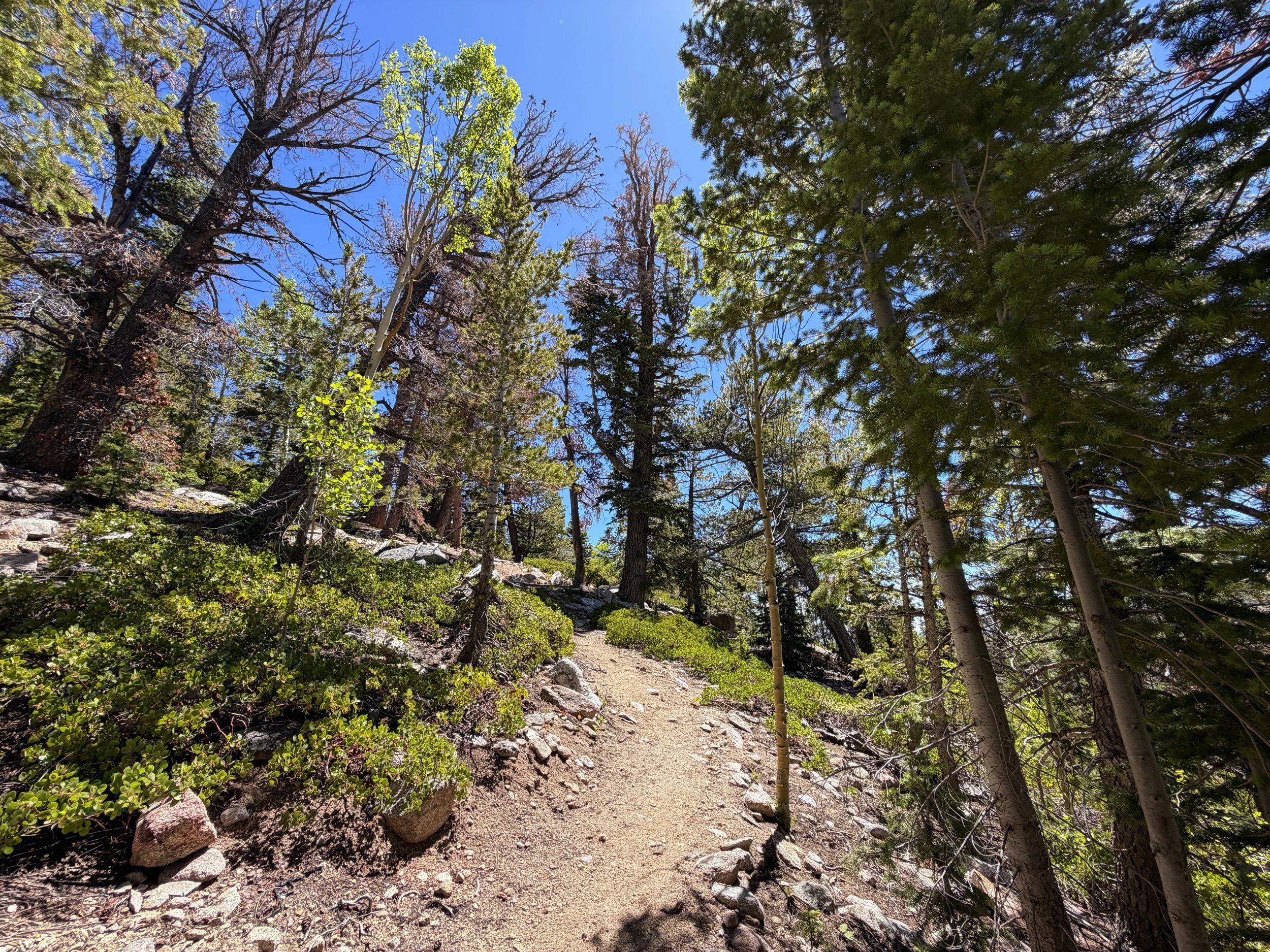 Dead Lake Hike Great Basin National Park Nevada
