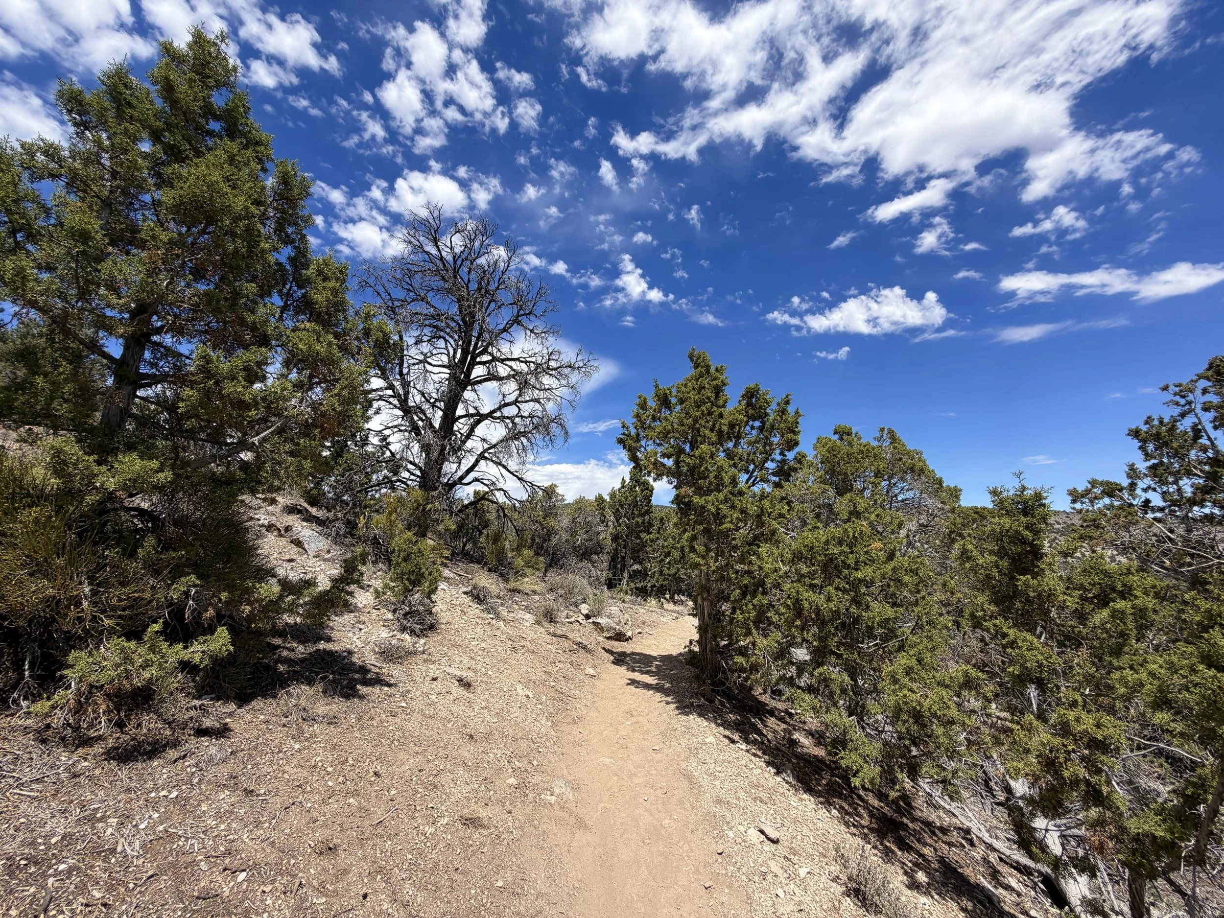 Mountain View Nature Trail Great Basin National Park Nevada