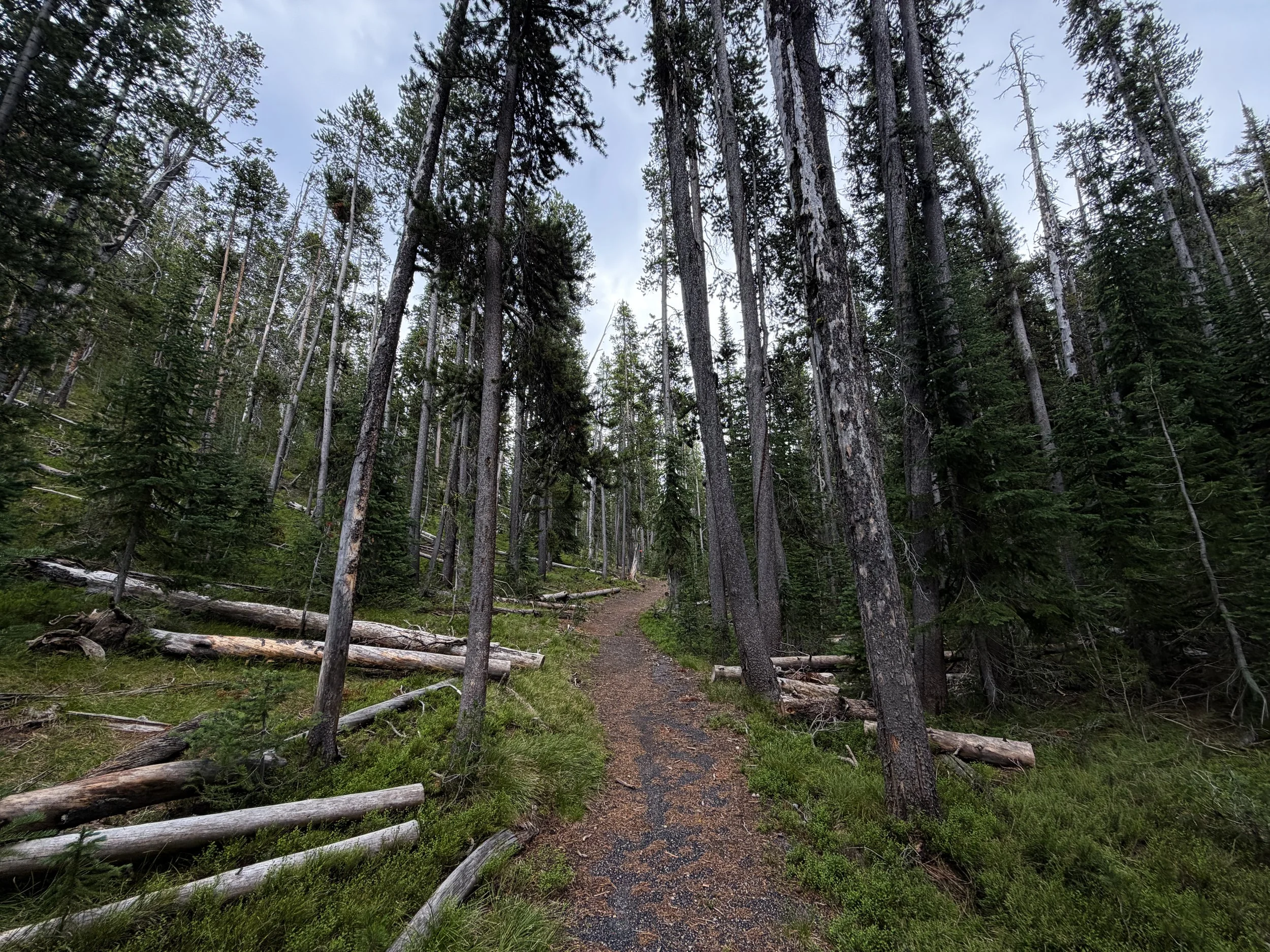 Divide Mountain Trail Yellowstone National Park Wyoming