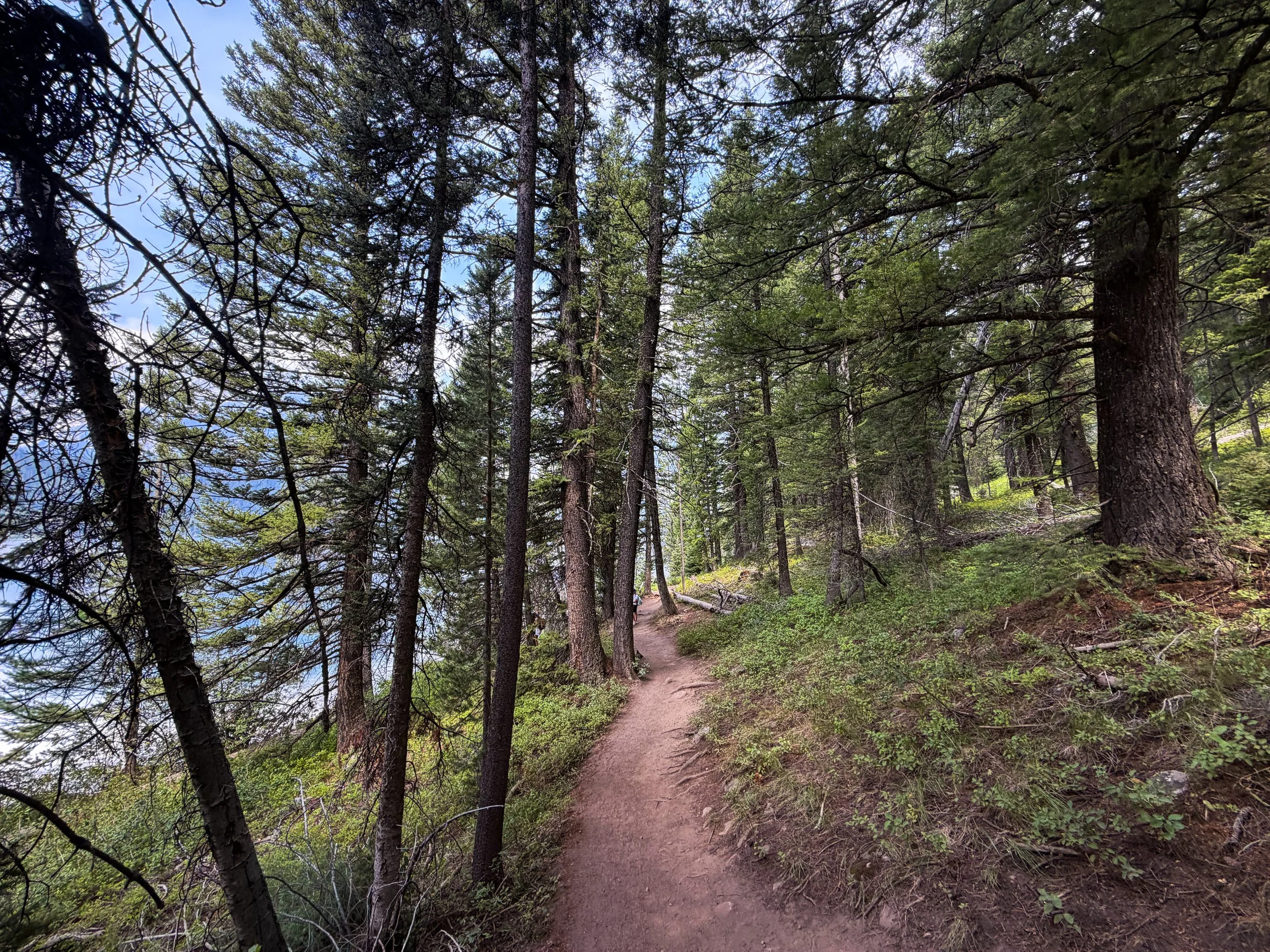 Phelps Lake Loop Trail to Jumping Rock Grand Teton National Park Wyoming