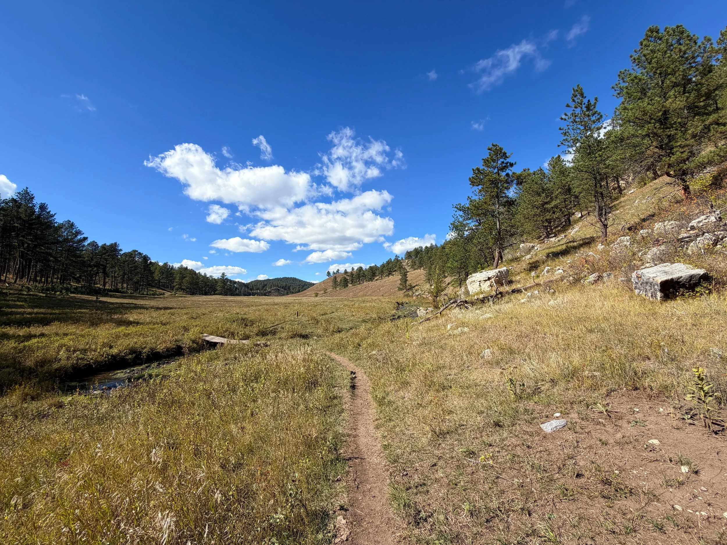 Lookout Point Loop Trail Wind Cave National Park South Dakota