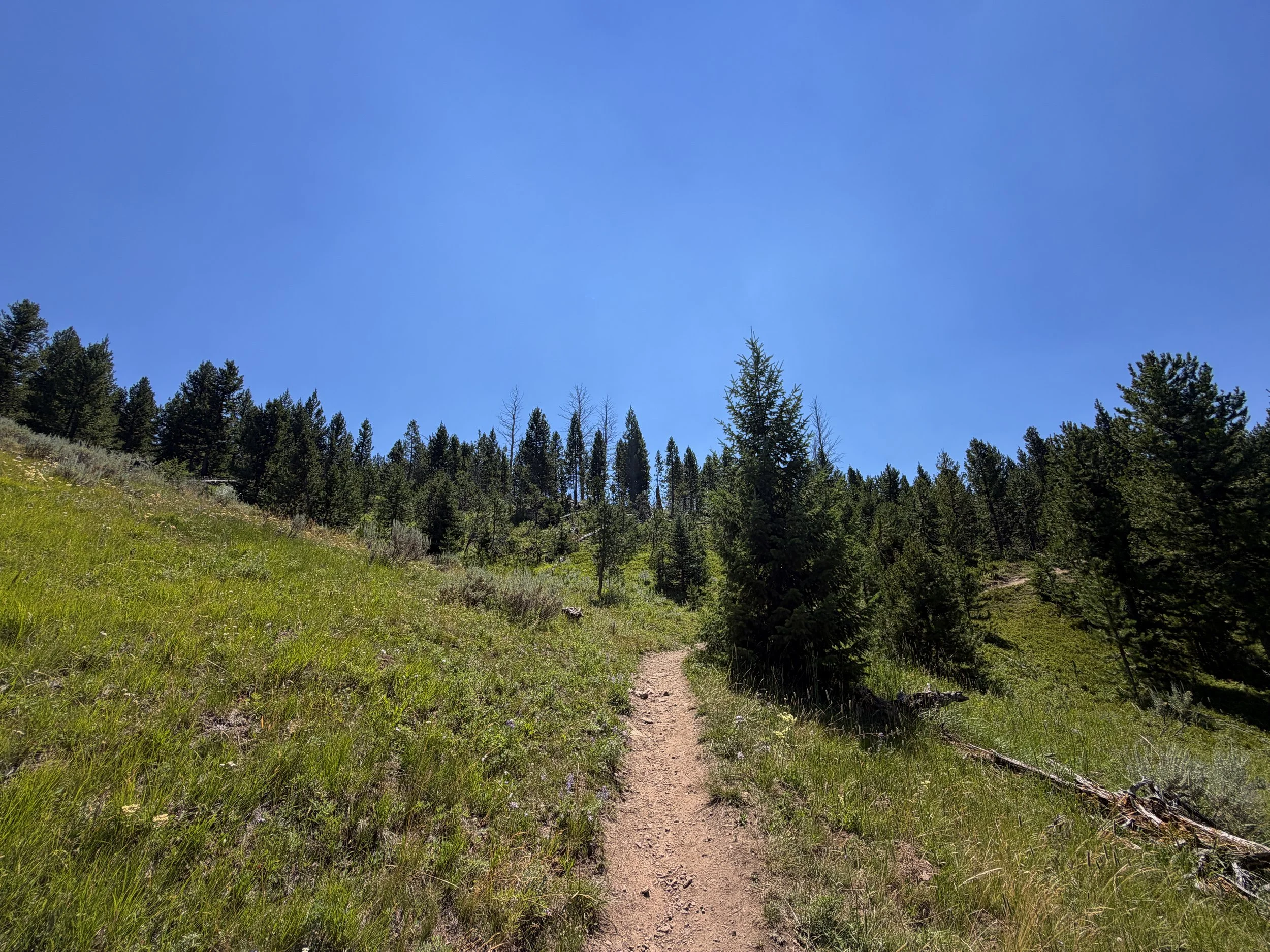 Bunsen Peak Trail Yellowstone National Park Wyoming