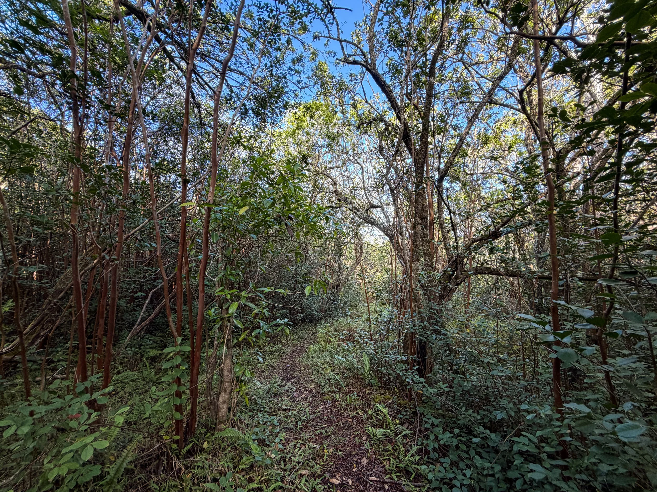 Mokuleia Trail Oahu Hawaii