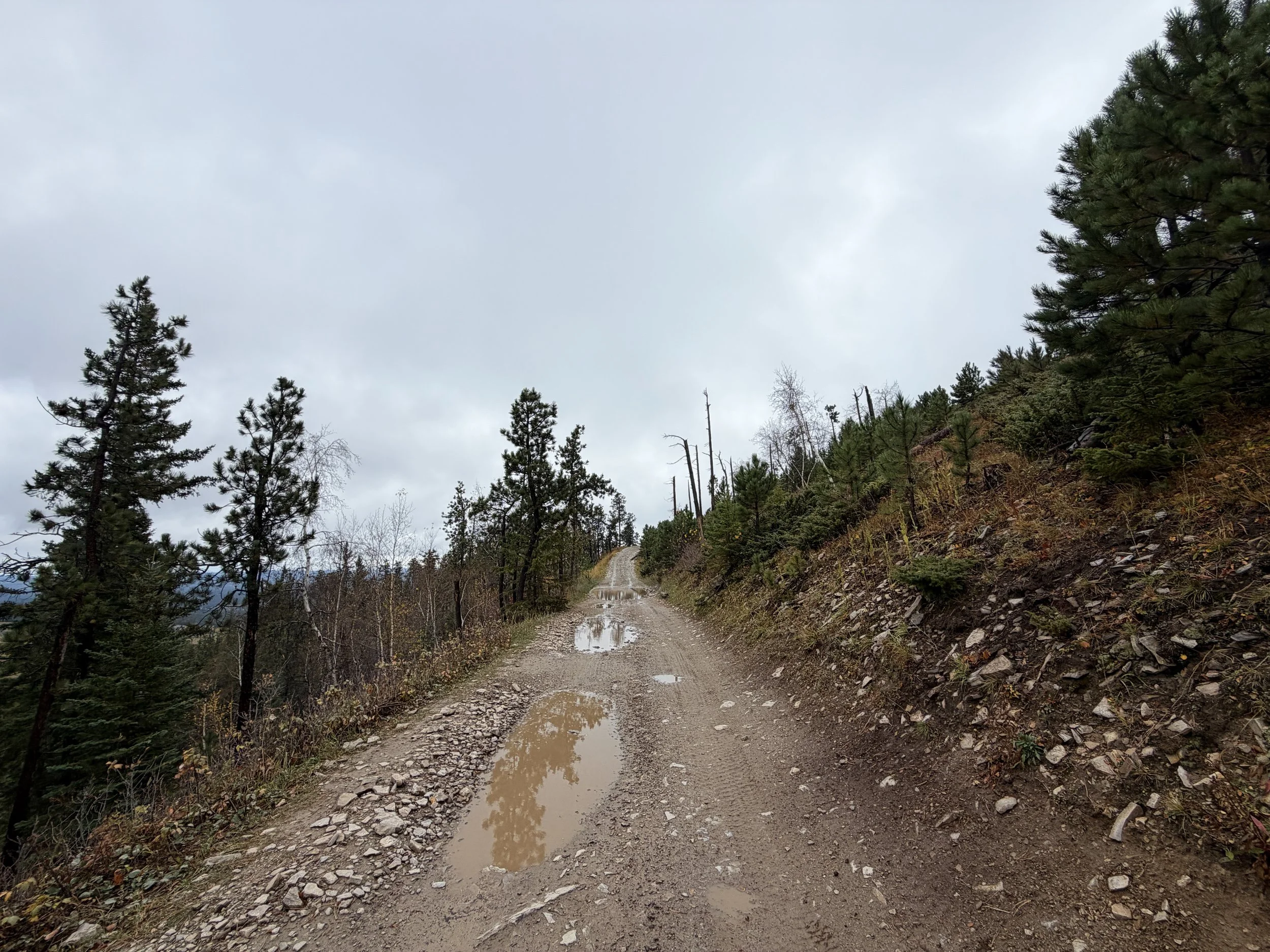 Custer Peak Lookout Hike Black Hills South Dakota