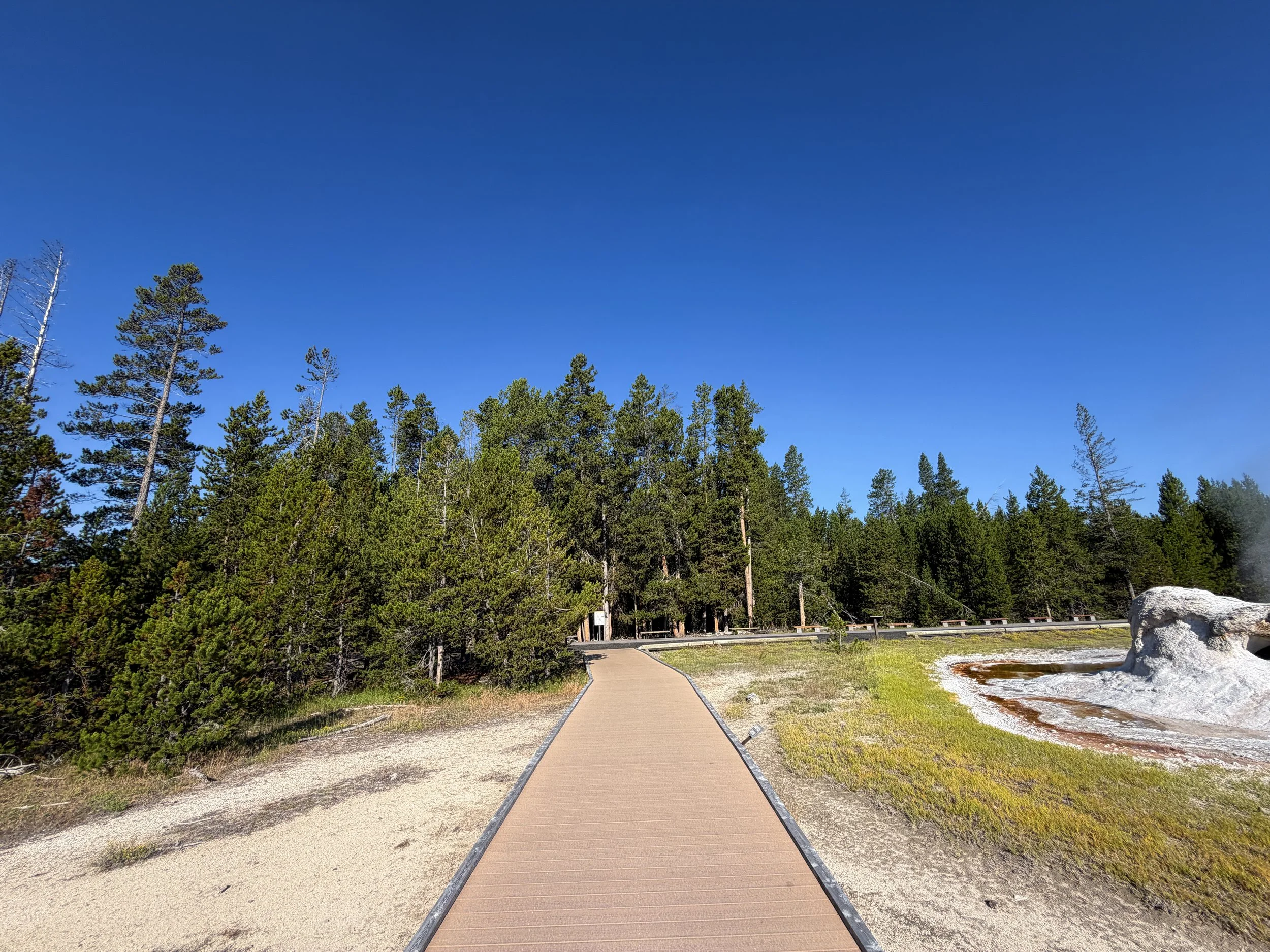 Upper Geyser Basin Trail Yellowstone National Park Wyoming