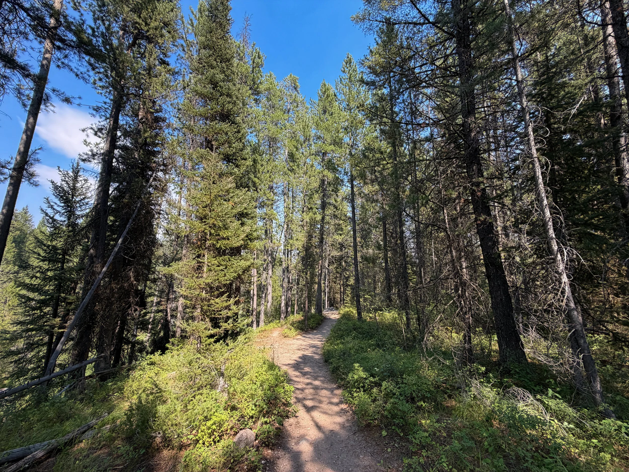 Phelps Lake Loop Trail Grand Teton National Park Wyoming