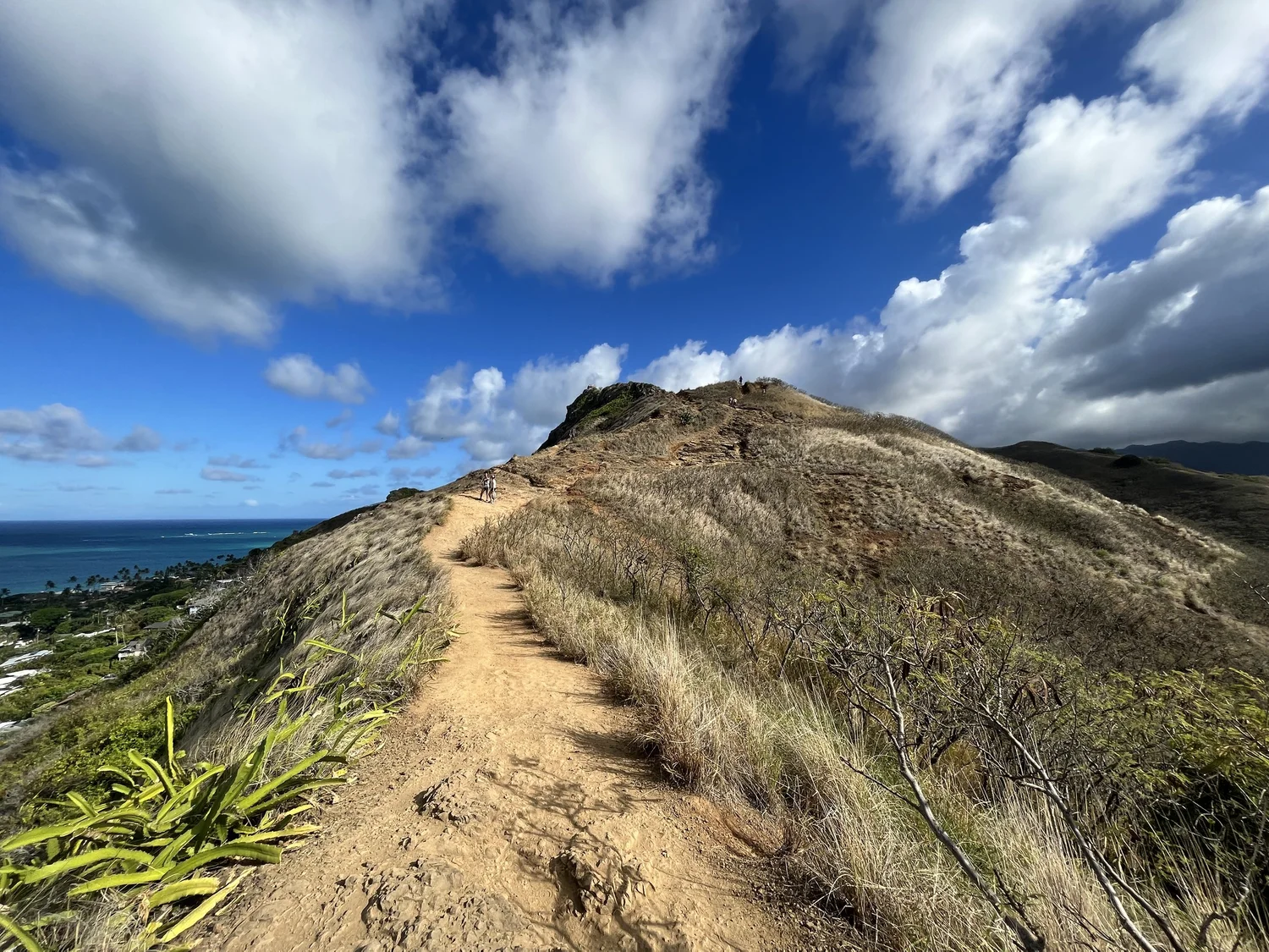 Hiking the Lanikai Pillbox Trail (Kaʻiwa Ridge) on Oʻahu — noahawaii