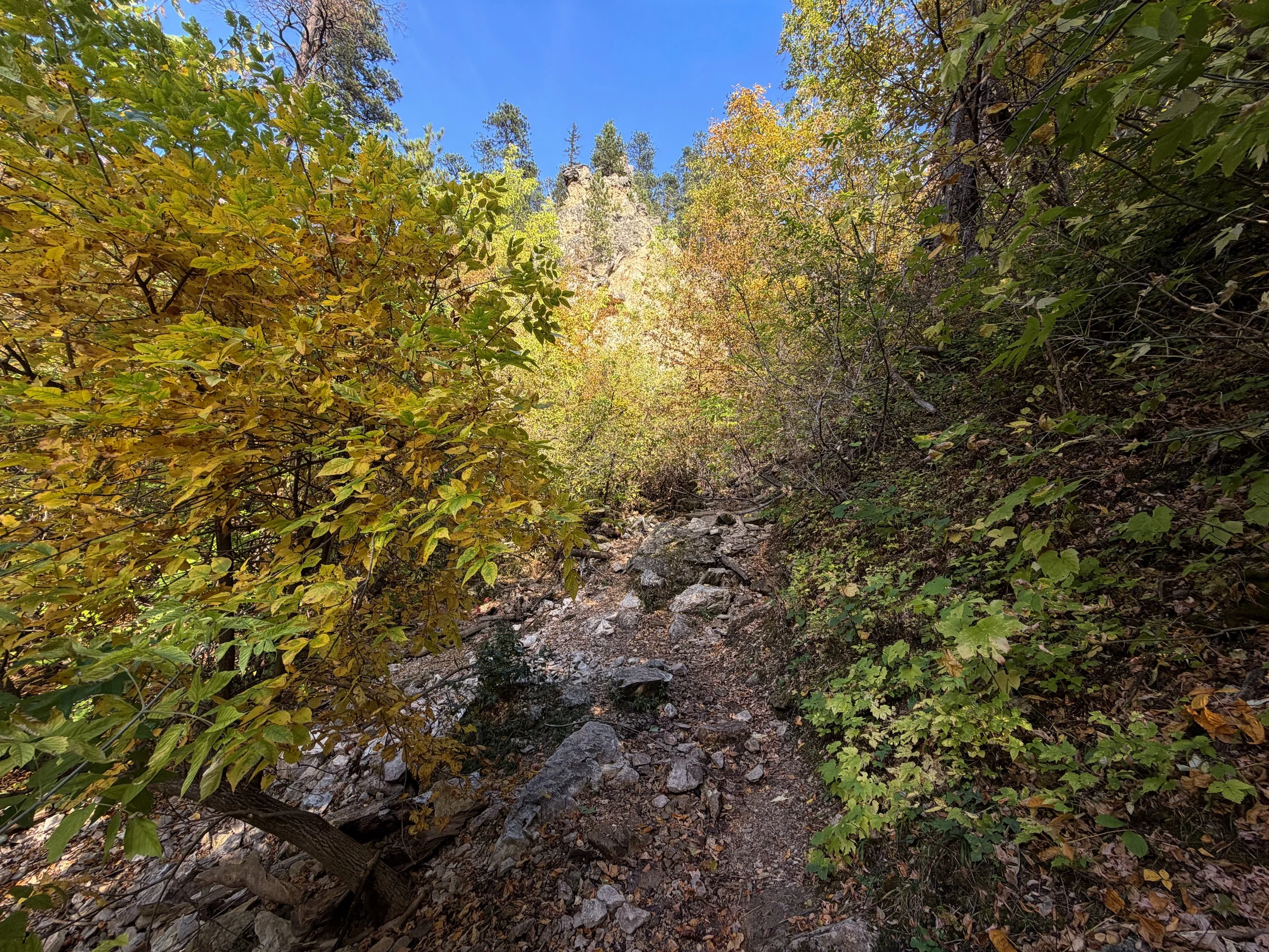 Community Caves Trail Spearfish Canyon Black Hills South Dakota