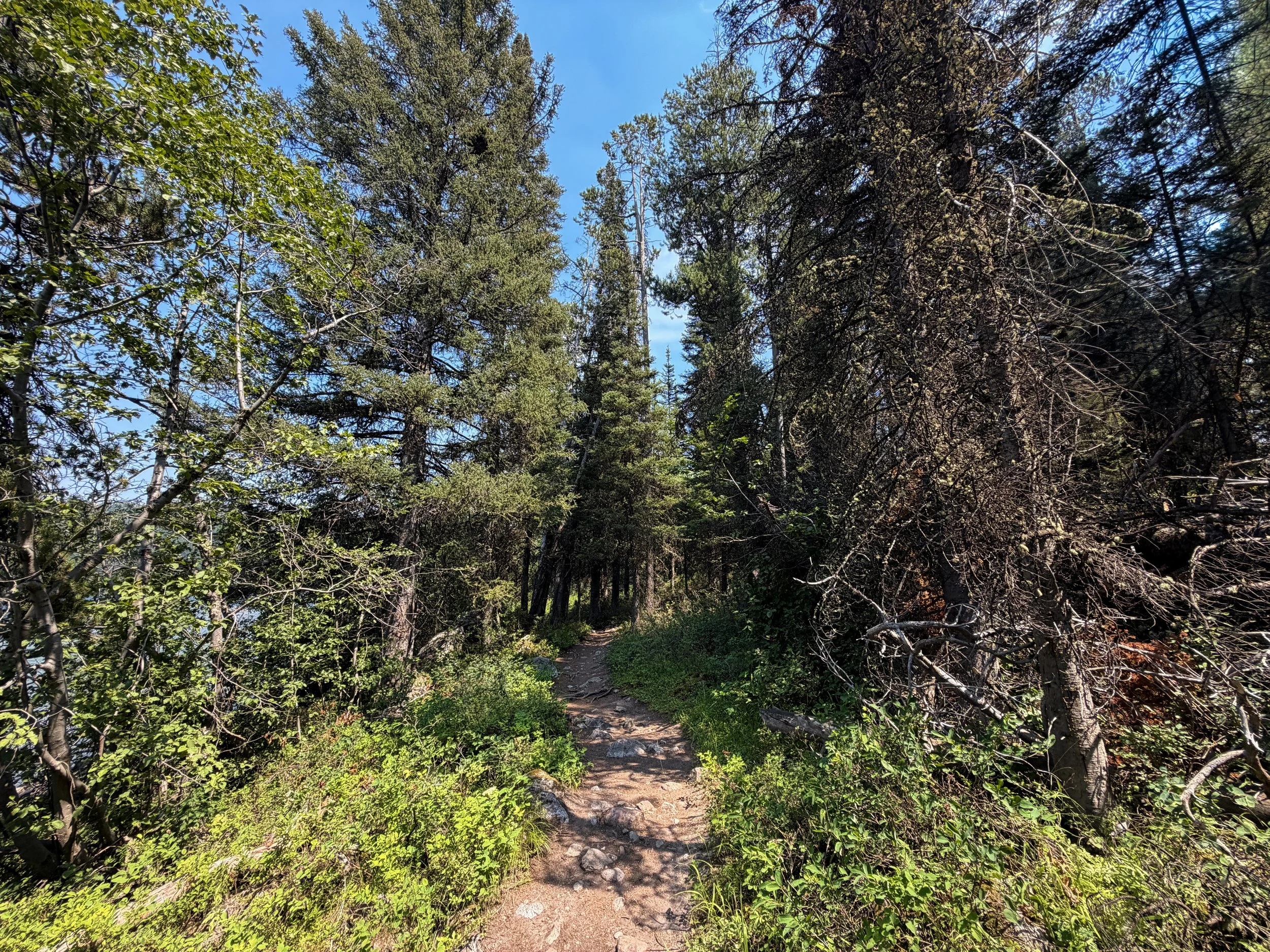 Phelps Lake Loop Trail Grand Teton National Park Wyoming