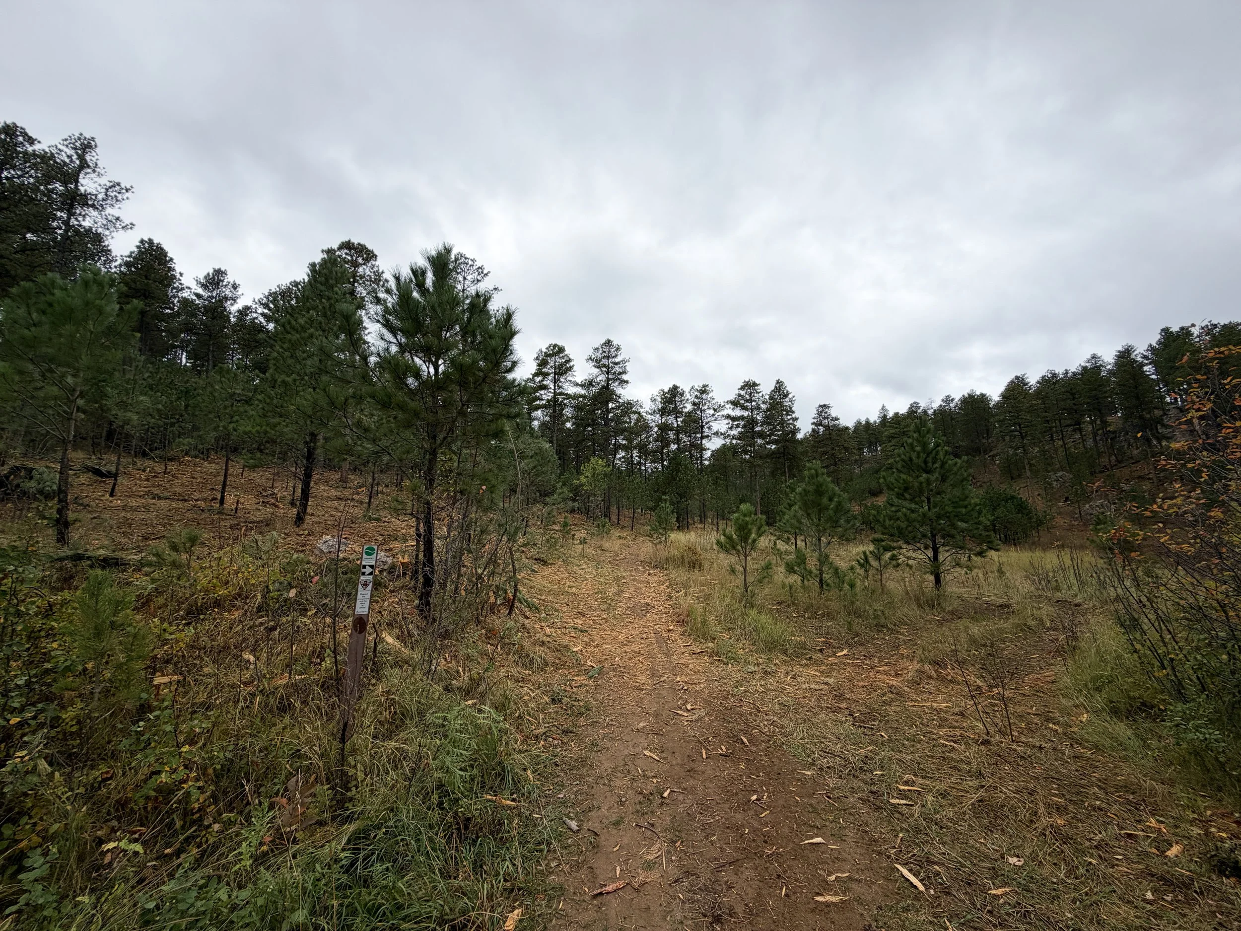 Buzzards Roost Loop Trail Black Hills South Dakota