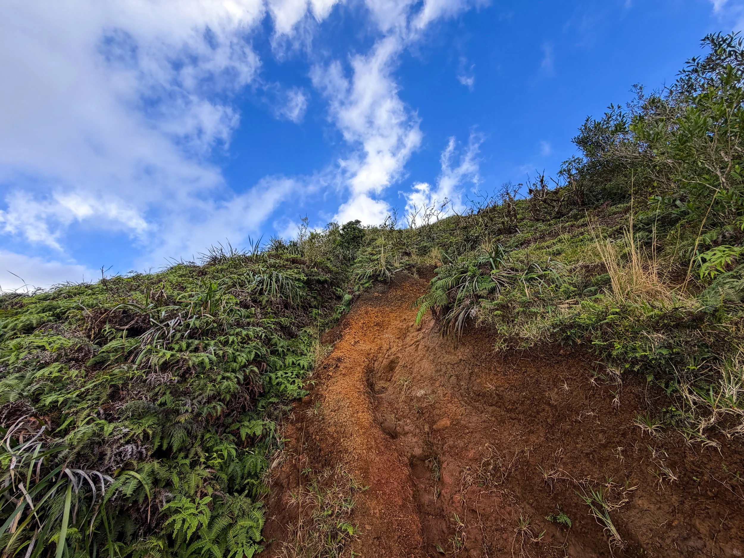 Kaau Crater Trail Oahu Hawaii