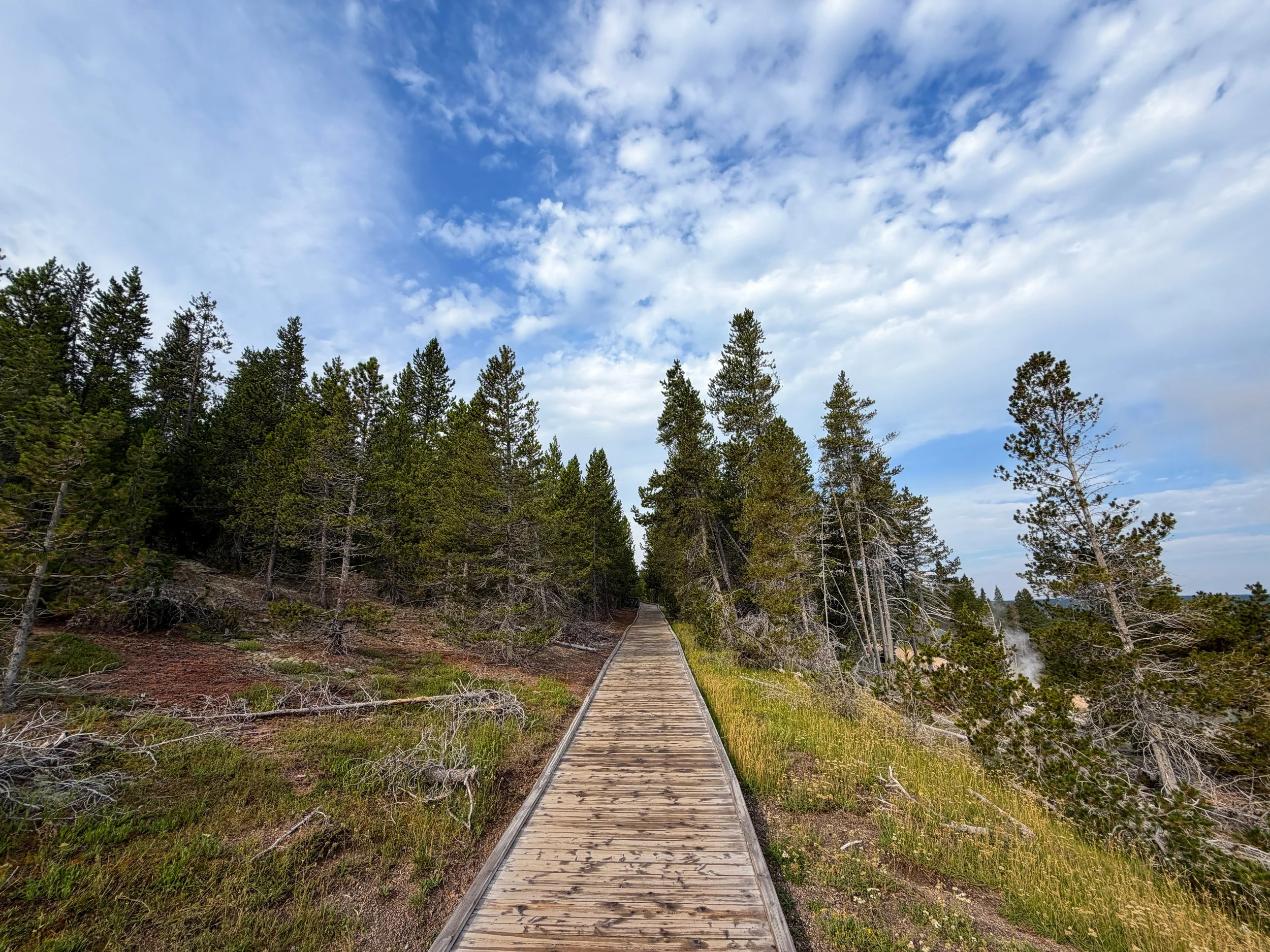 Norris Geyser Basin Trail Yellowstone National Park Wyoming