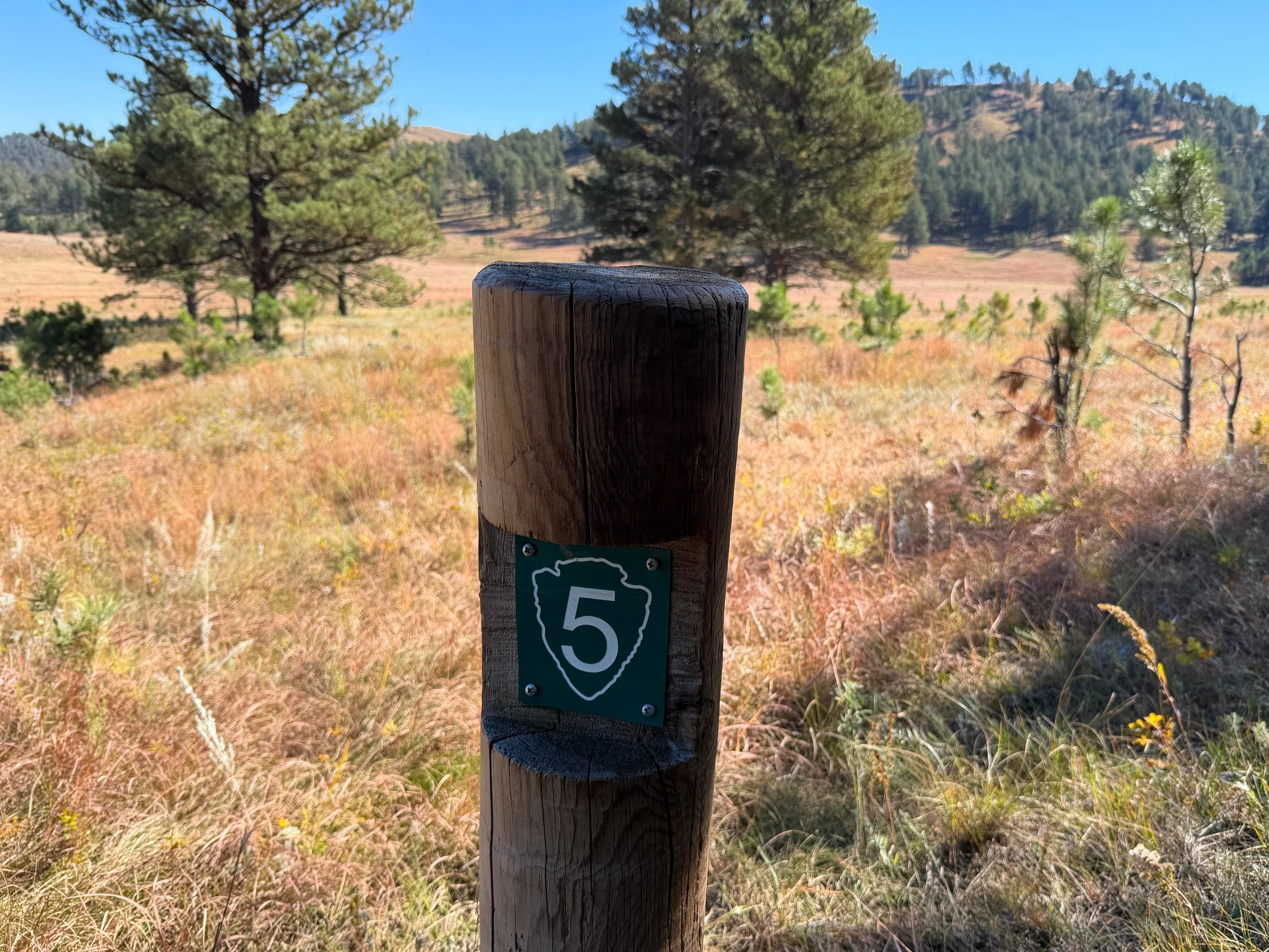 Sanctuary Trail Wind Cave National Park South Dakota