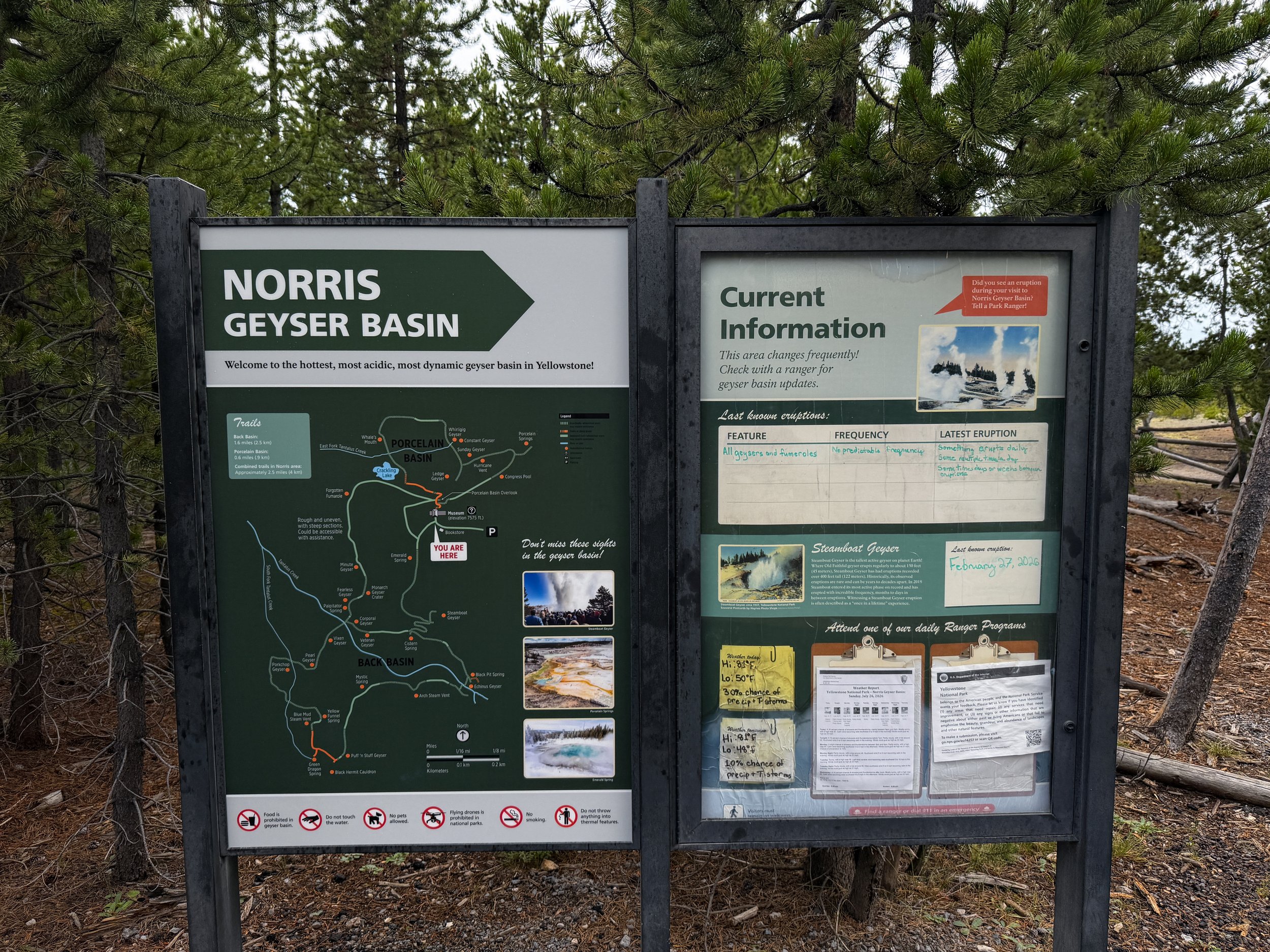 Norris Geyser Basin Trail Yellowstone National Park Wyoming