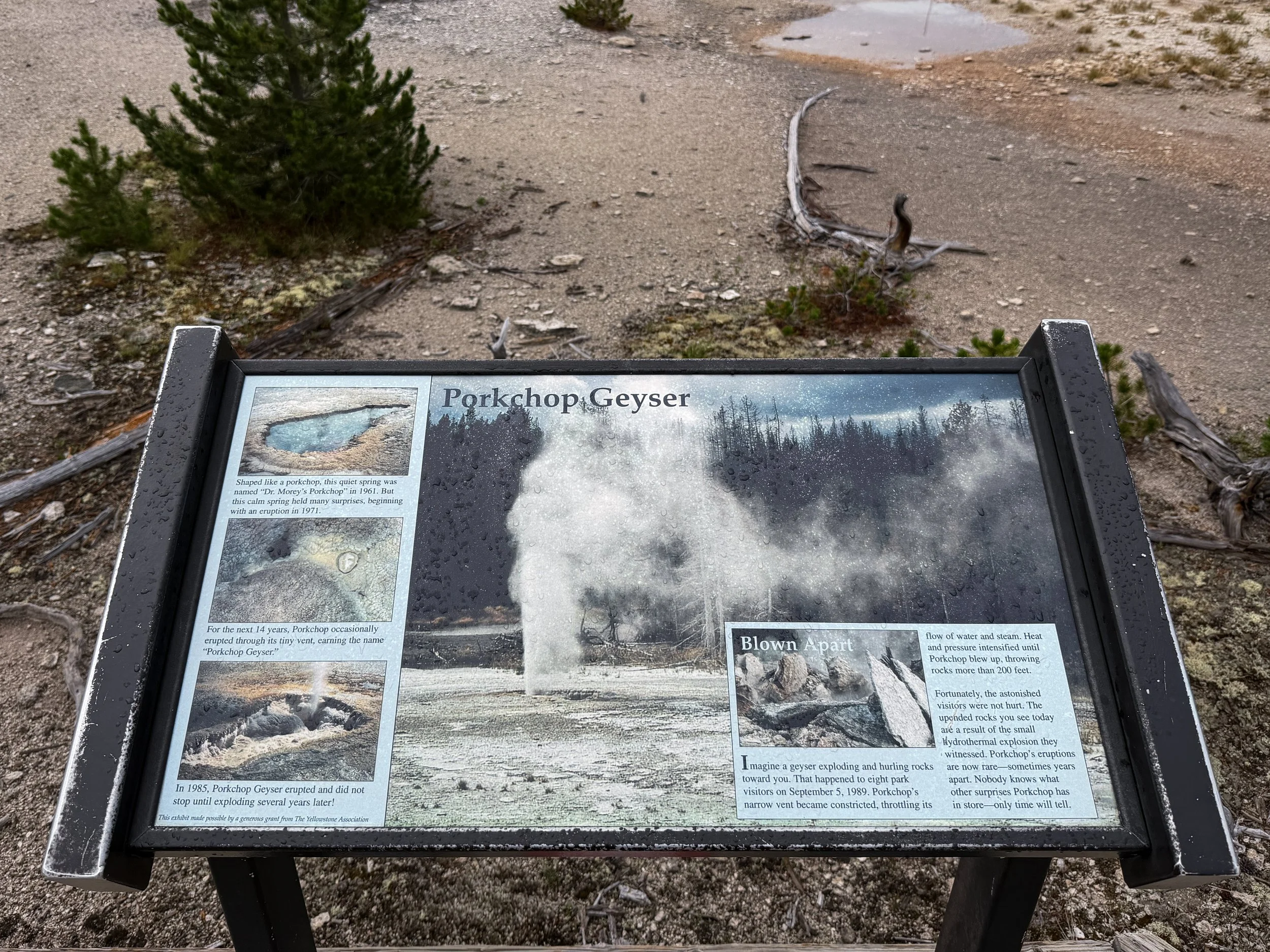 Porkchop Geyser Norris Geyser Basin Trail Yellowstone National Park Wyoming