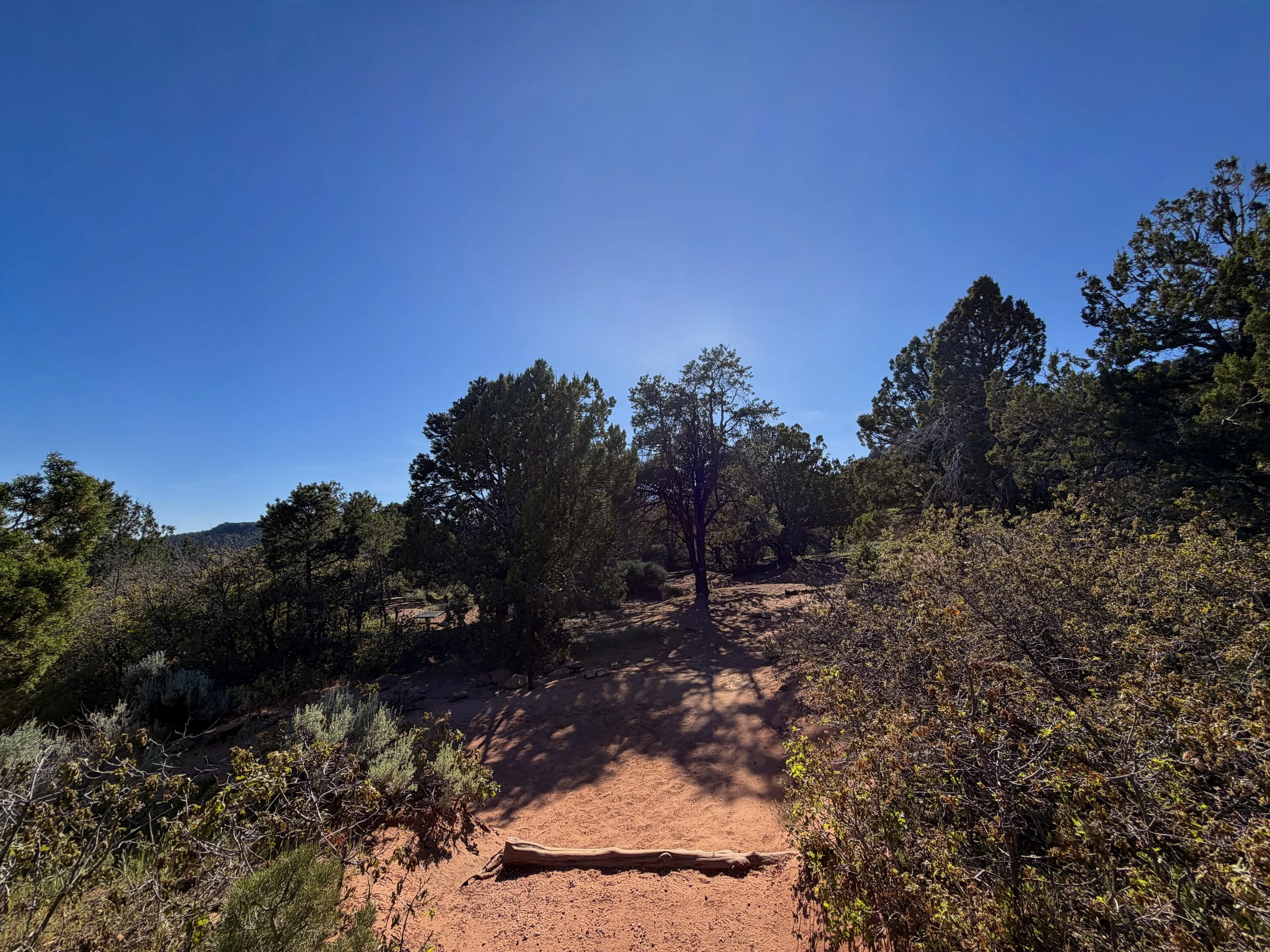 Timber Creek Overlook Trail Zion National Park Utah