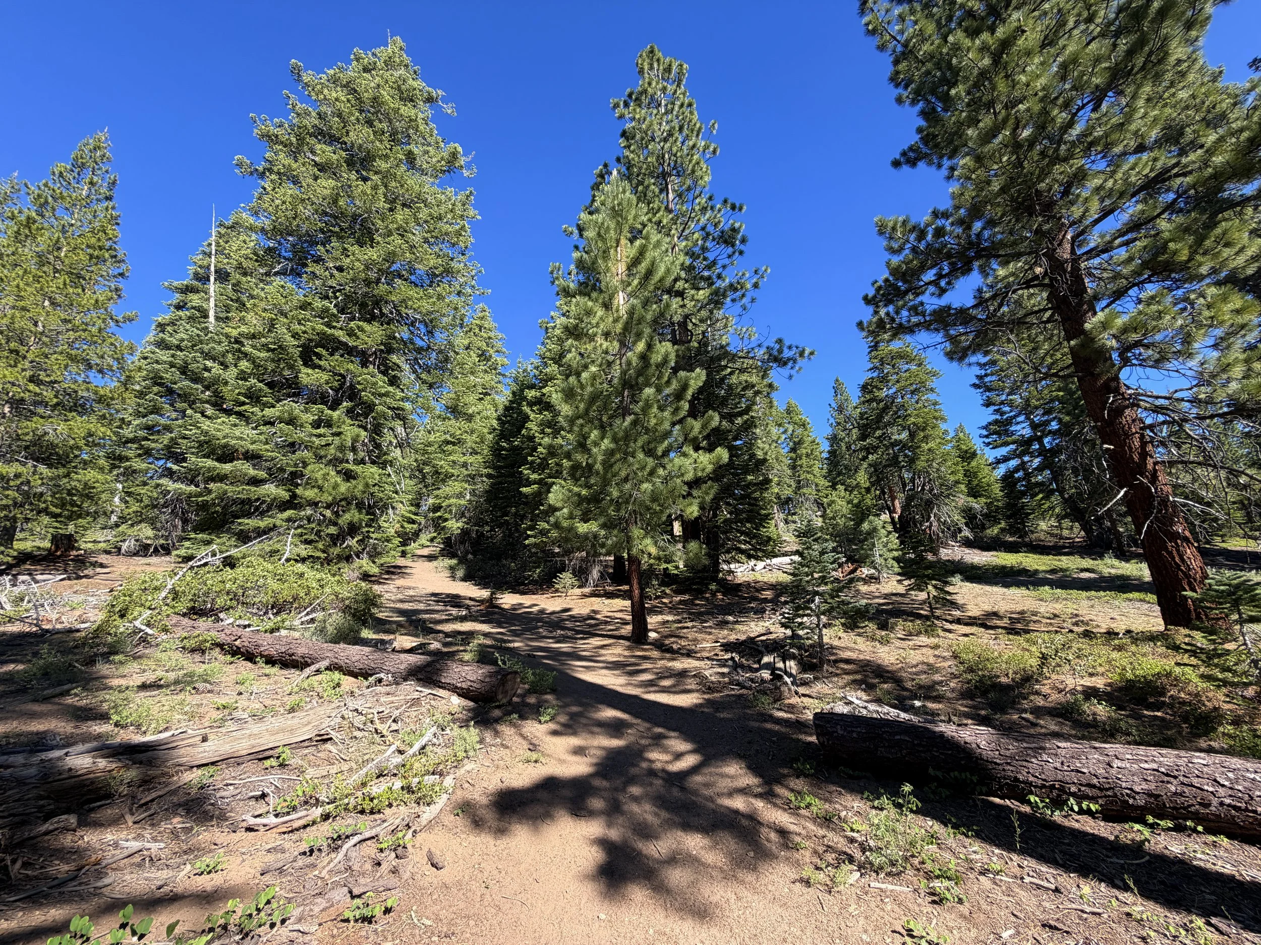 Castle Rock Hike Lake Tahoe Nevada