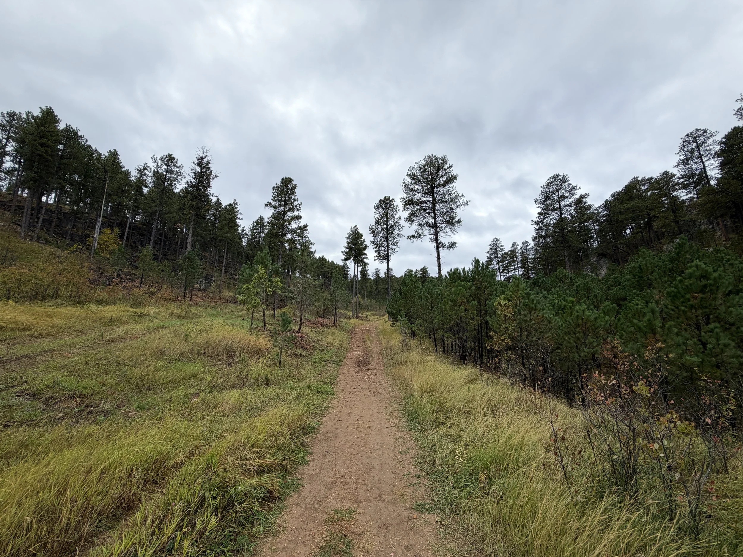 Buzzards Roost Trail Black Hills South Dakota
