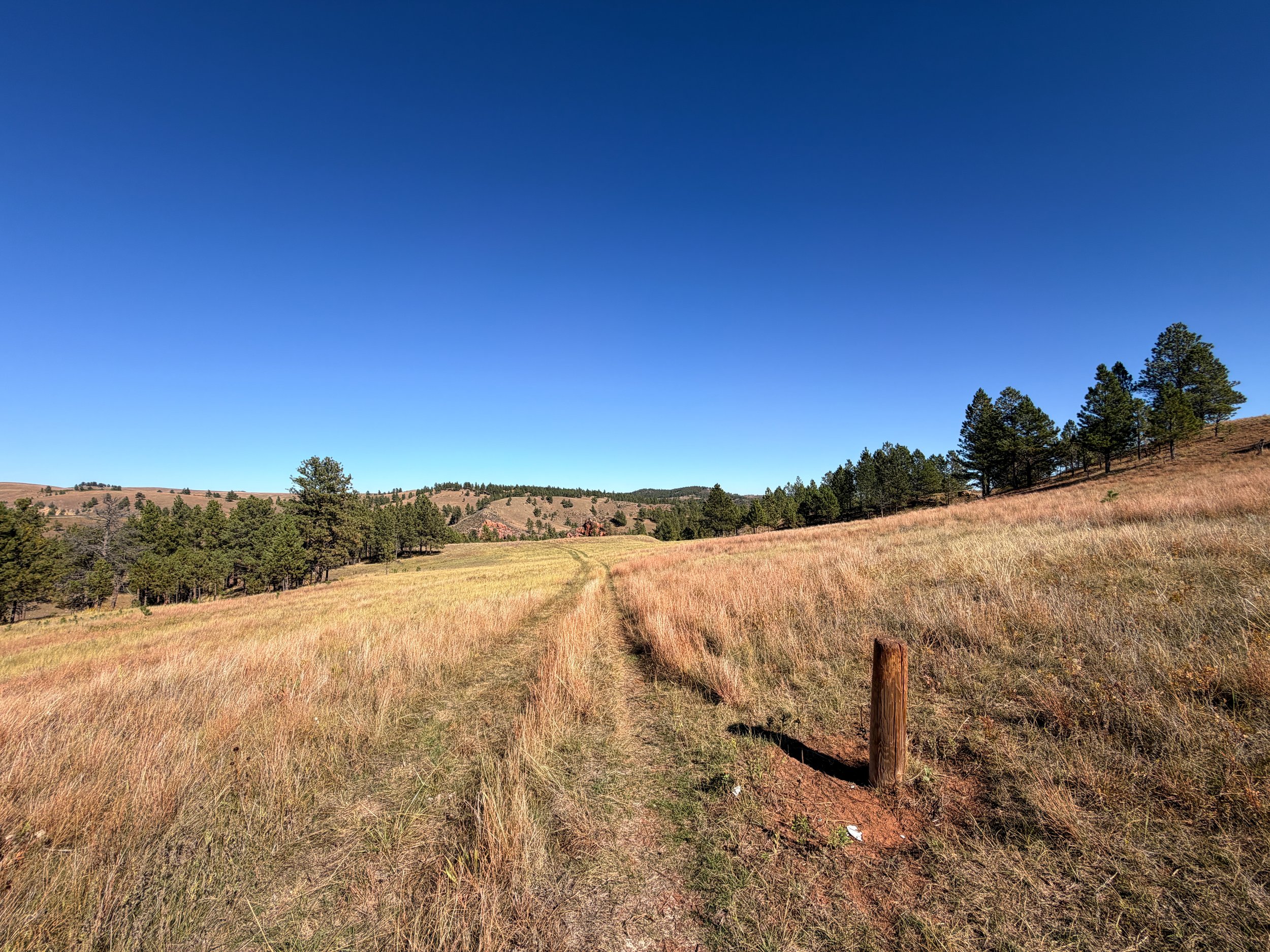 East Bison Flats Trail to Wind Cave Canyon Wind Cave National Park South Dakota