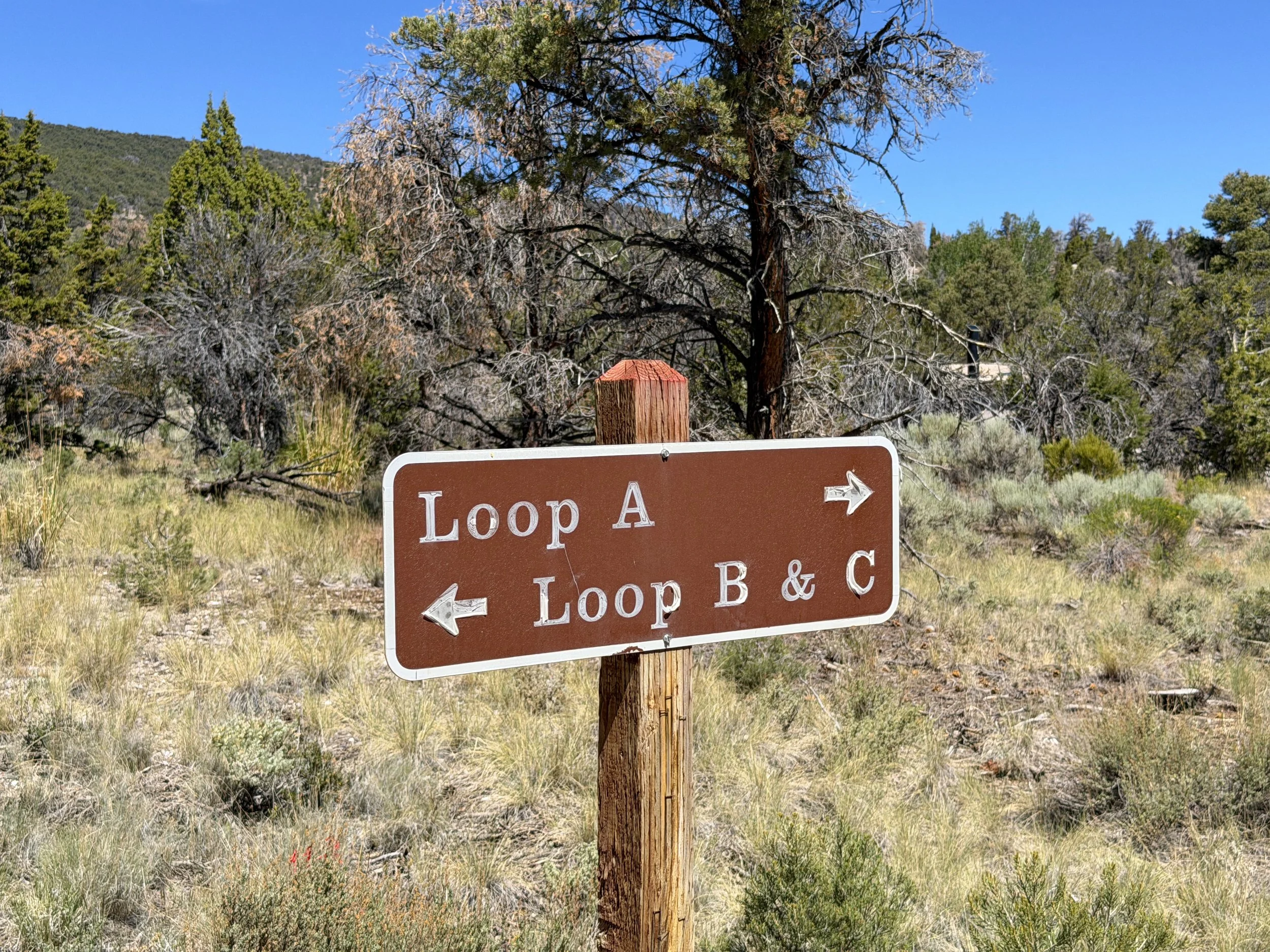 Grey Cliffs Campground Pole Canyon Trail Great Basin National Park Nevada