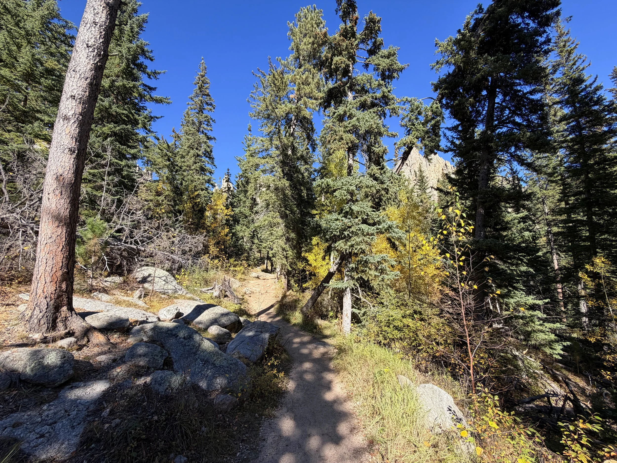 Cathedral Spires Trail Custer State Park Black Hills South Dakota