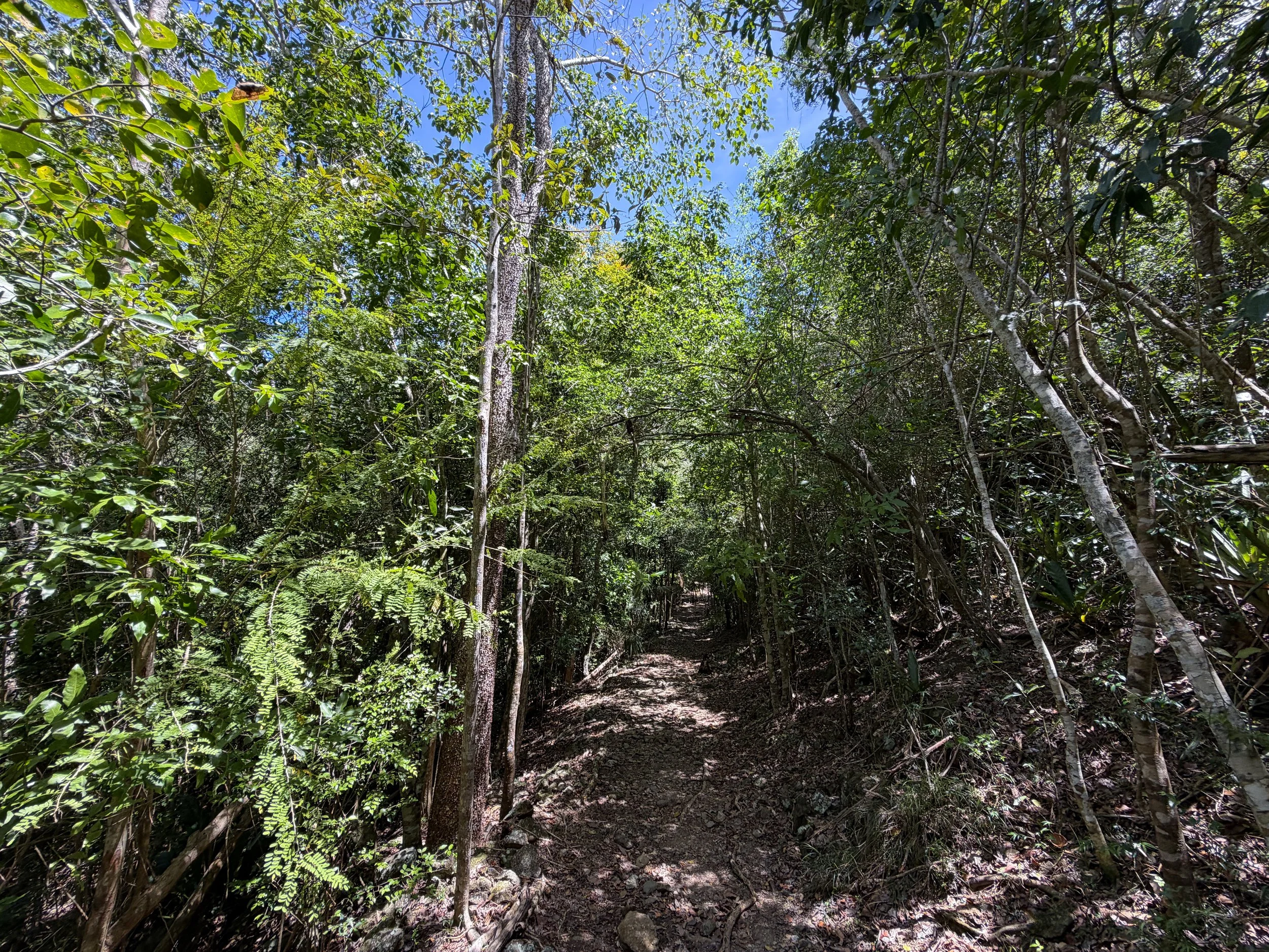 Lameshur Bay Trail Virgin Islands National Park