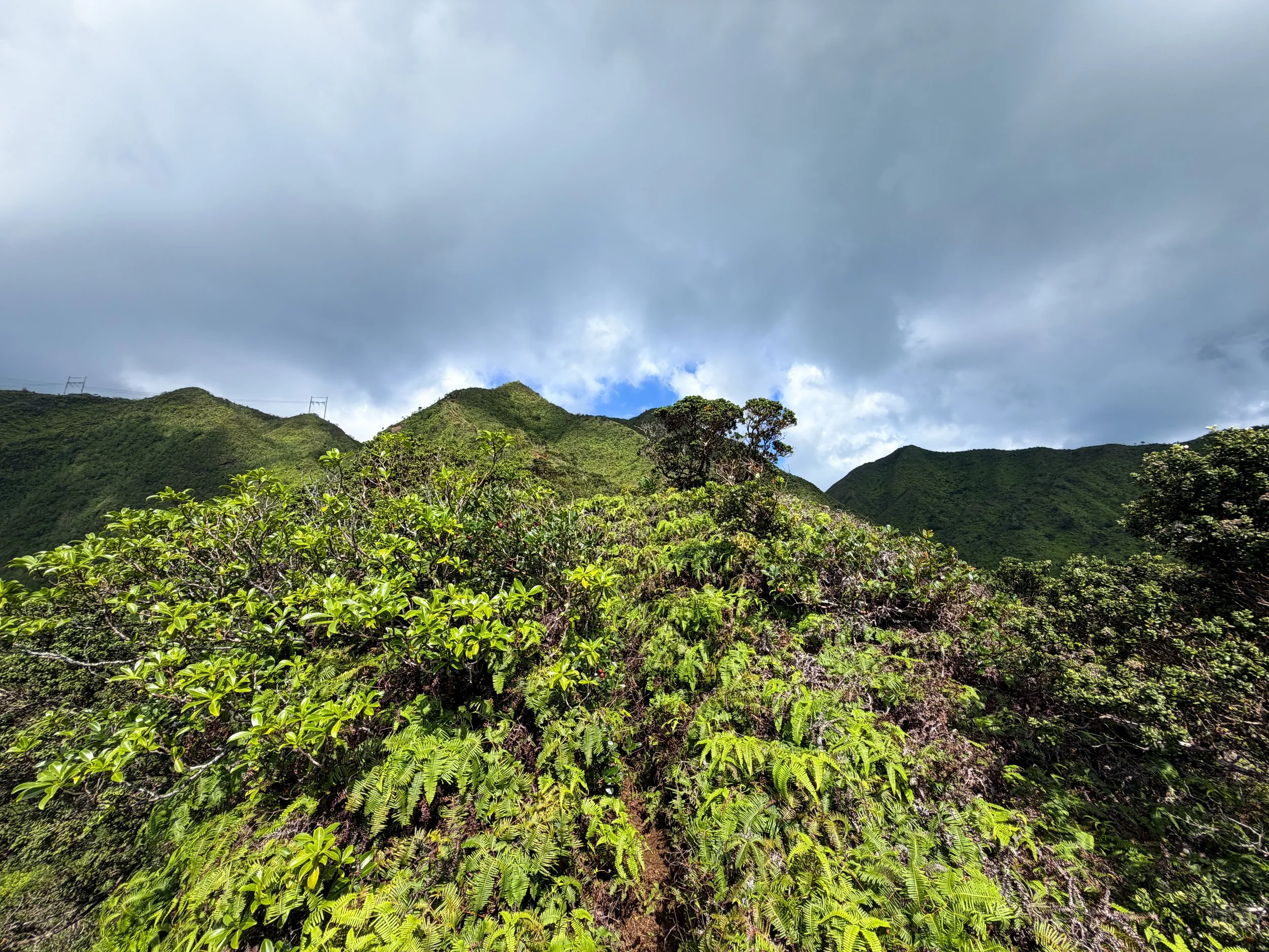 Kaau Crater Trail Oahu Hawaii