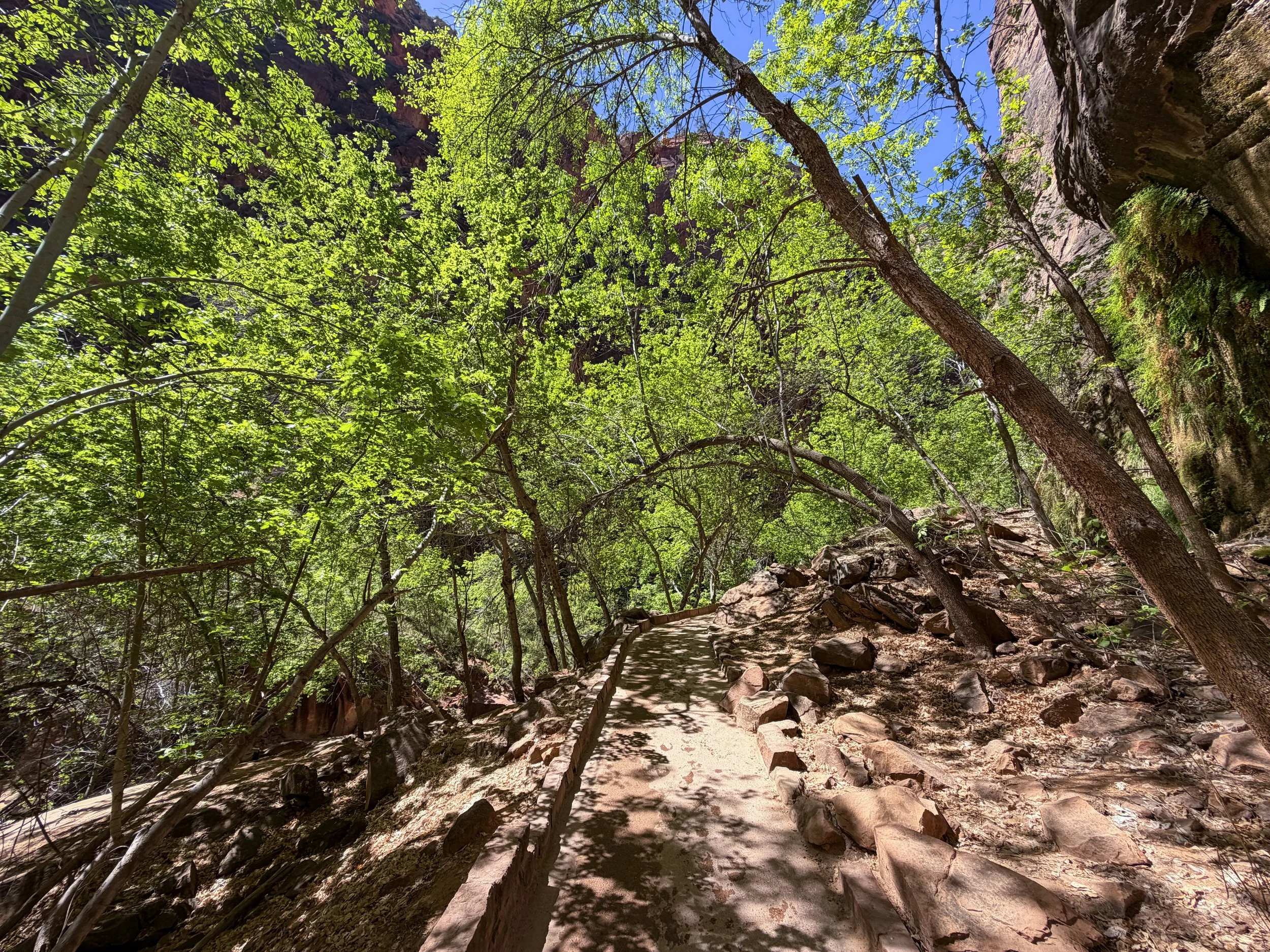 Riverside Walk Zion National Park Utah