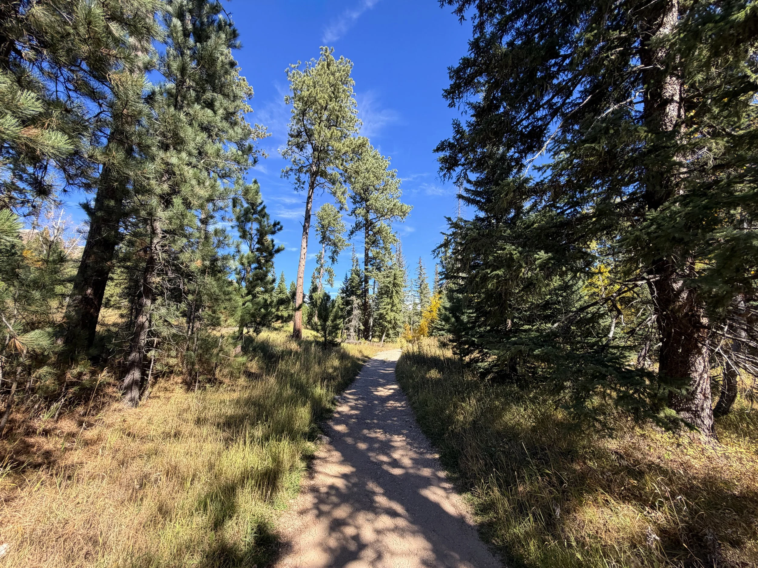 Black Elk Peak Trail Custer State Park Black Hills South Dakota