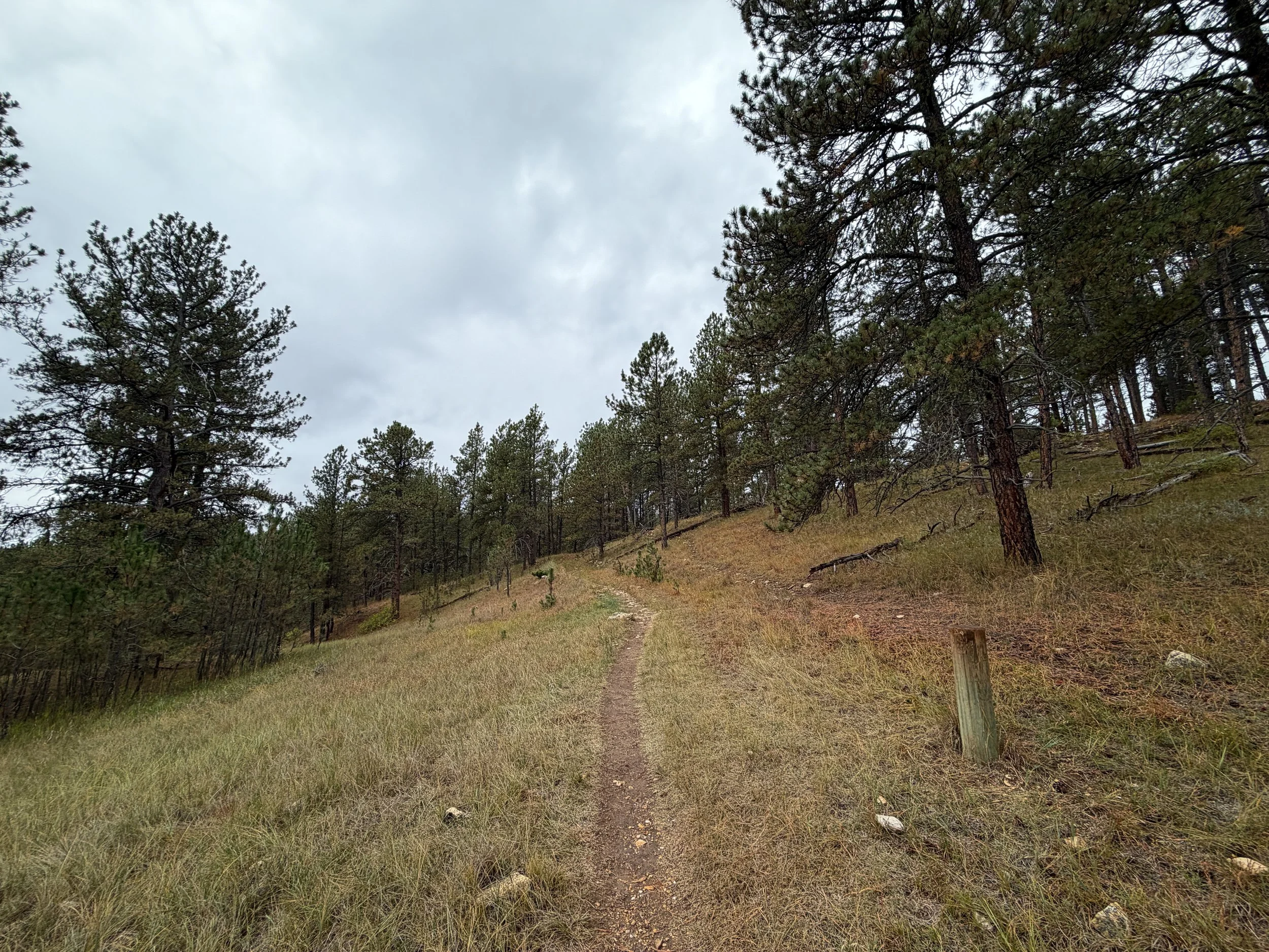Highland Creek to Lookout Point Trail Wind Cave National Park South Dakota