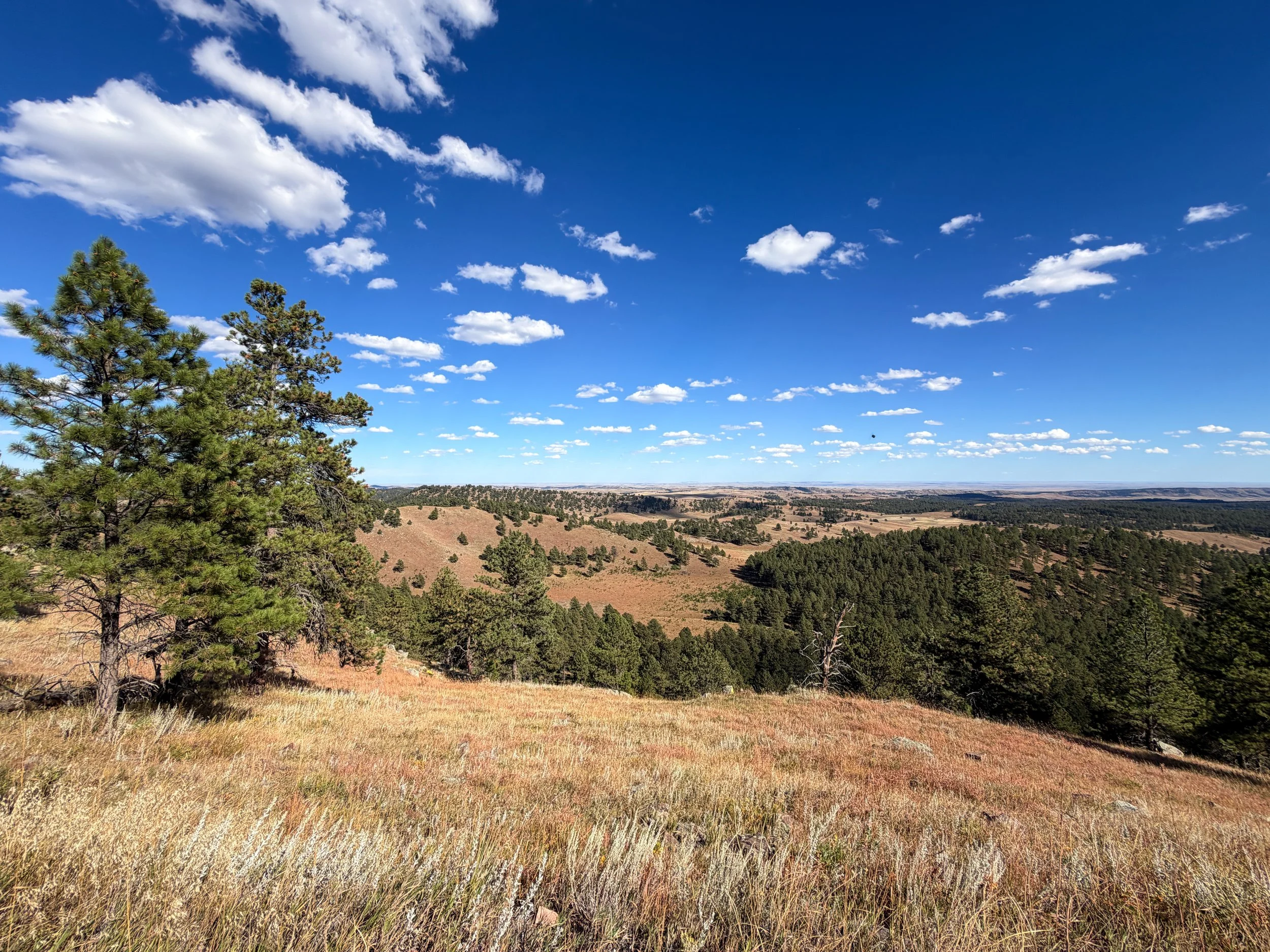 Rankin Ridge Trail Wind Cave National Park South Dakota