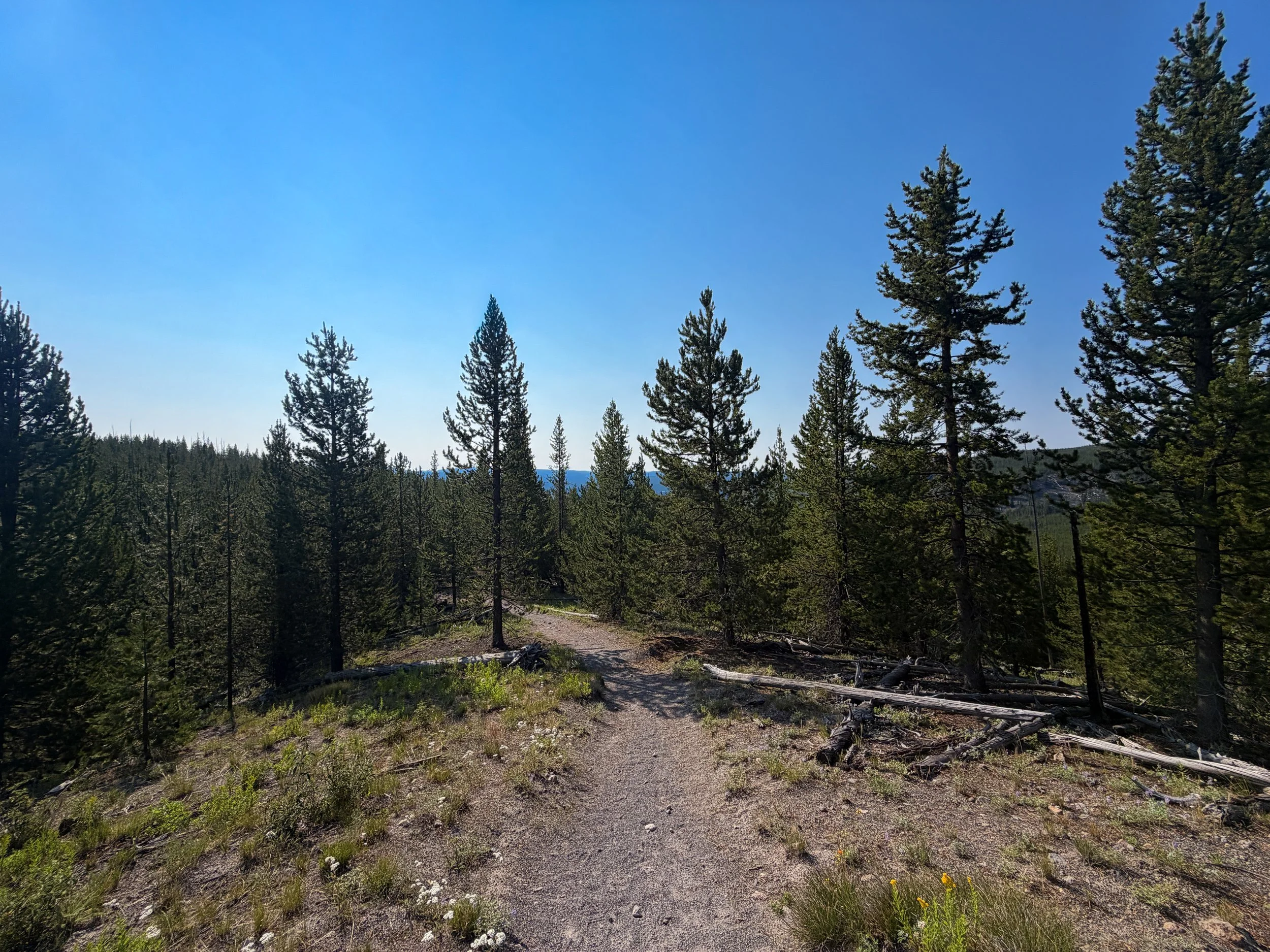 Mystic Falls Loop Trail Yellowstone National Park Wyoming